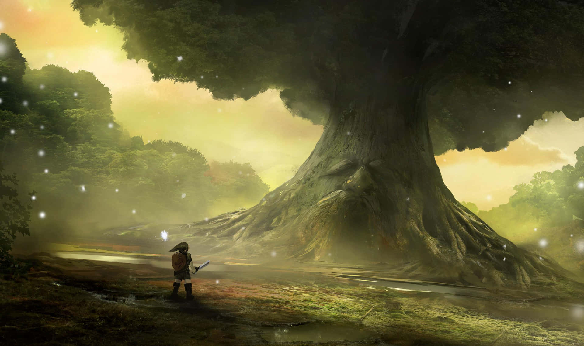 Tutustu Hyruleen arvostetussa Legend Of Zelda -sarjassa.