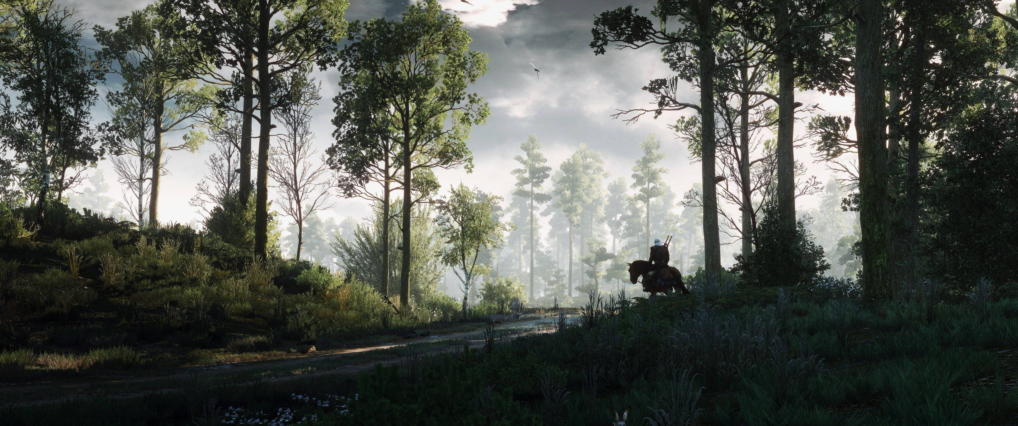 Tutustu The Witcher -videopelin mystiseen metsään Taustakuvat