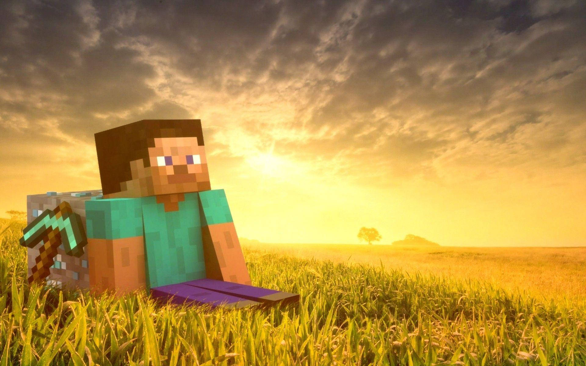 Minecraft Steve ruohokentällä HD taustakuva