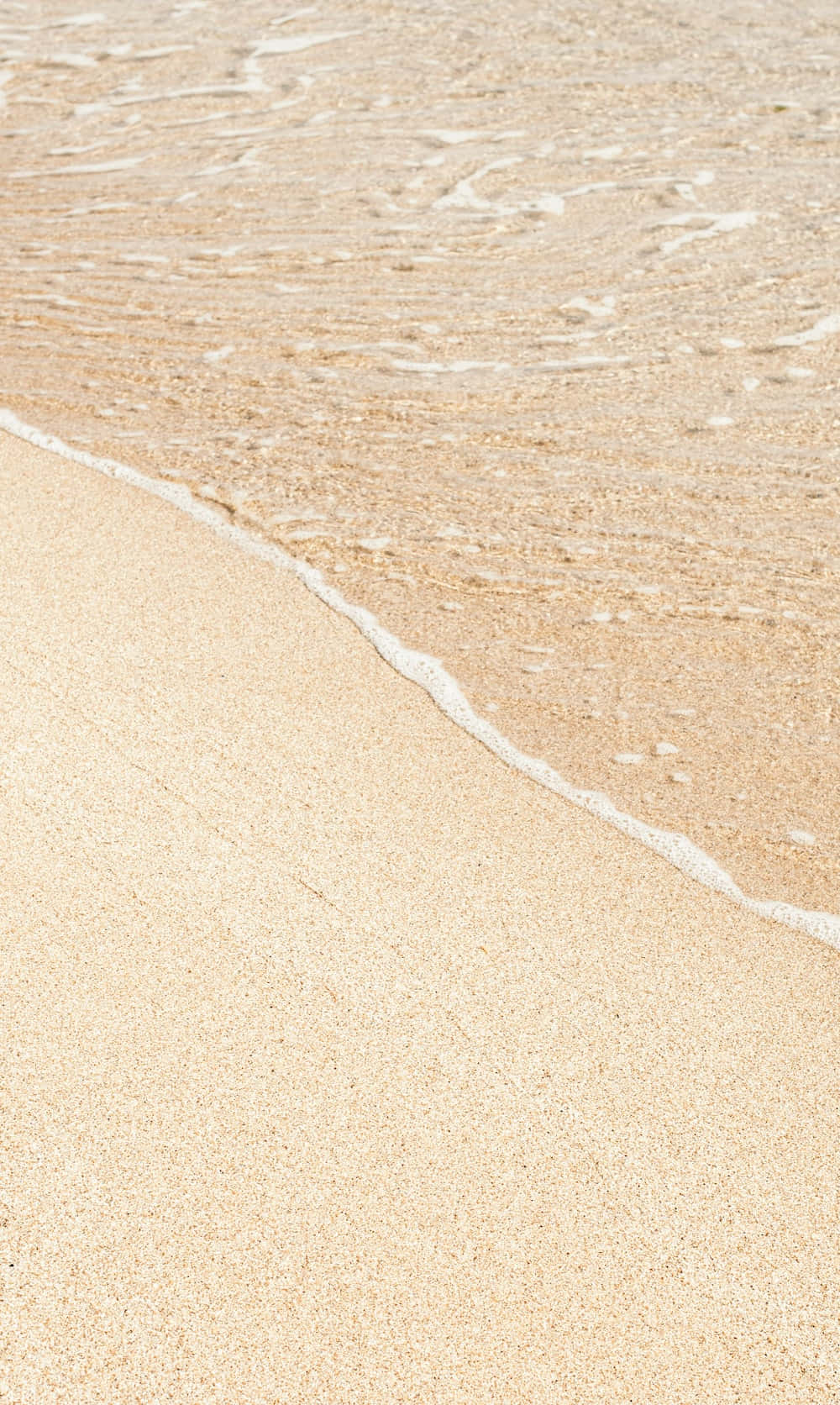 Tyylikäs pehmeä beige estetiikka Taustakuvat