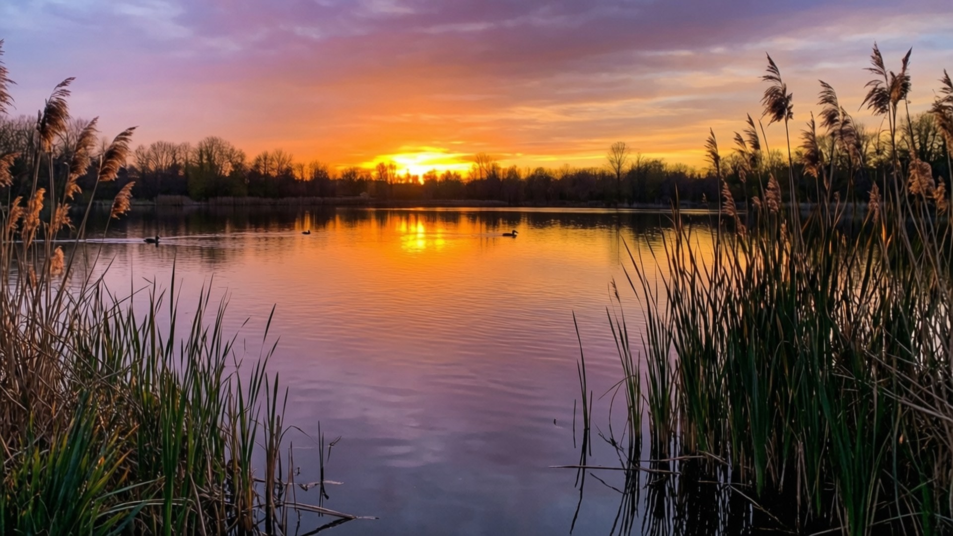 Tyyni järven auringonlasku Taustakuvat