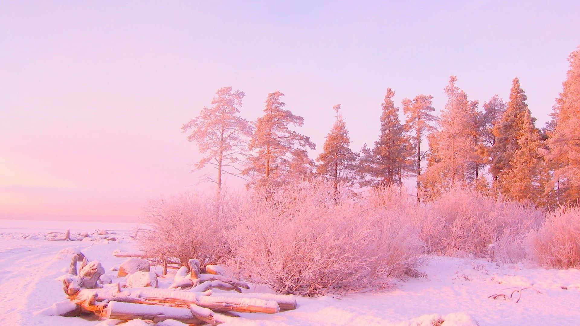 Unelma vaaleanpunainen estetiikka Taustakuvat