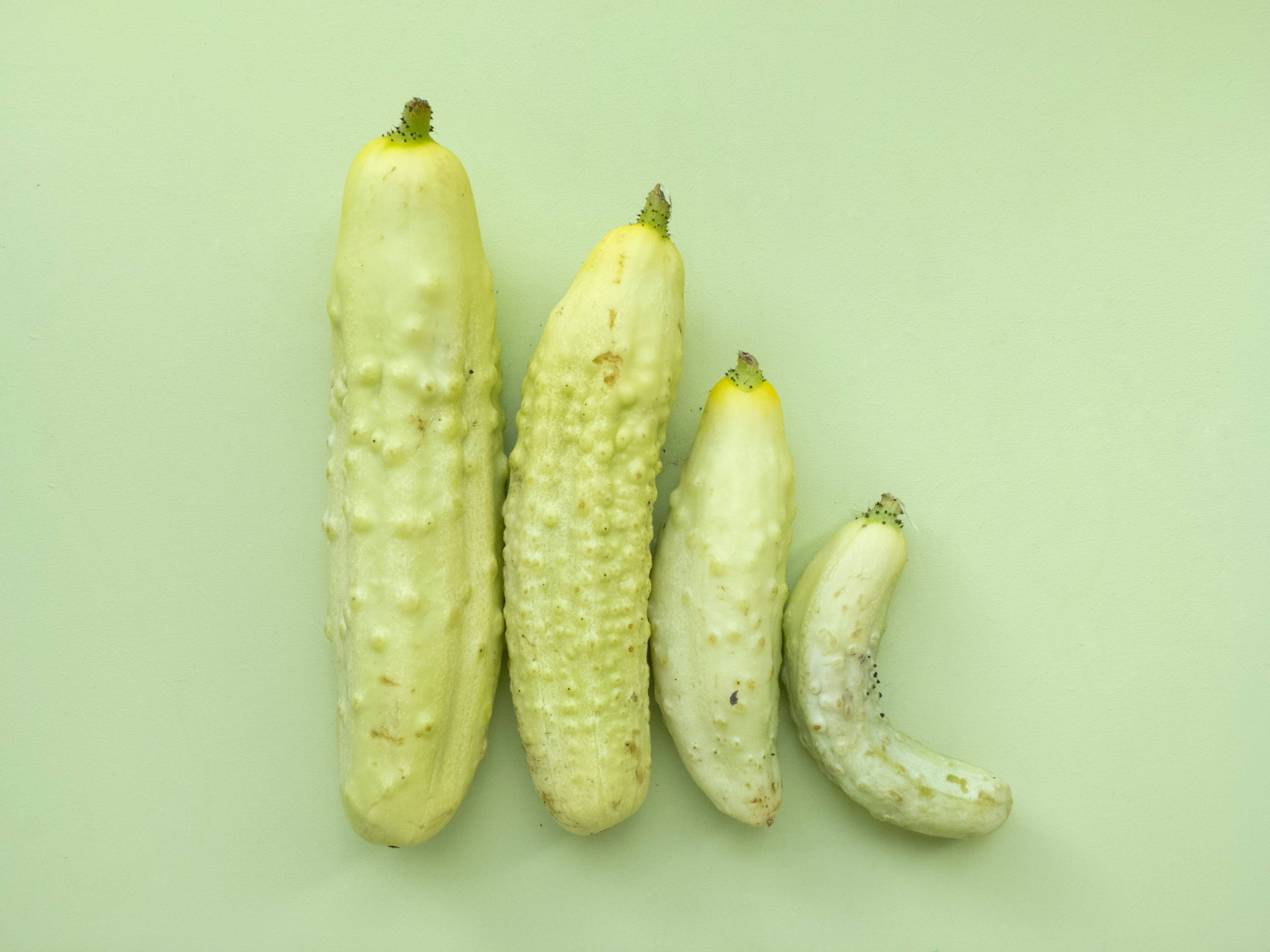 Upea näkymä The Gherkin-pilvenpiirtäjästä, Lontoossa Taustakuvat