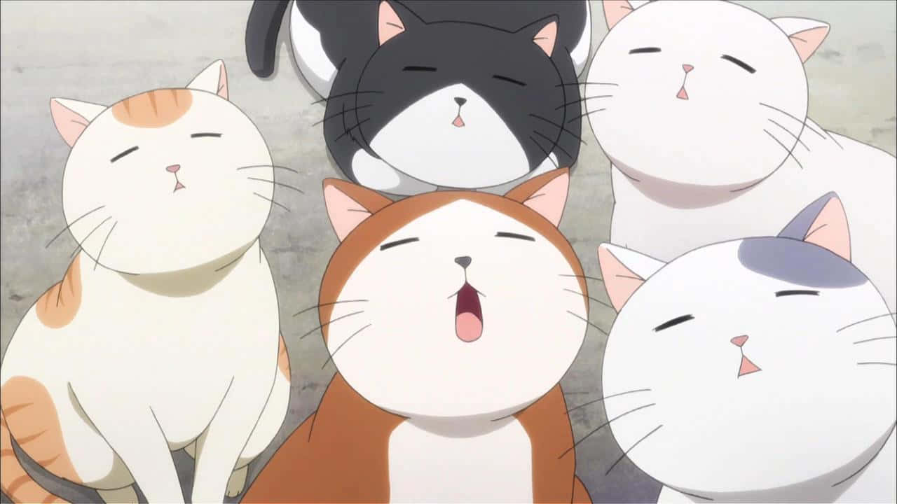 Utelias animekissa tutkimassa maailmaa Taustakuvat