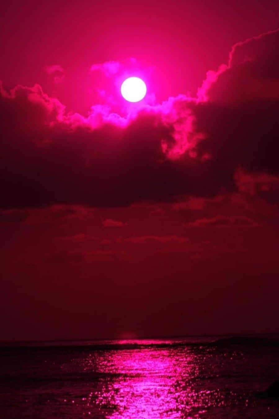 vaaleanpunainen aurinko meren yllä Taustakuvat