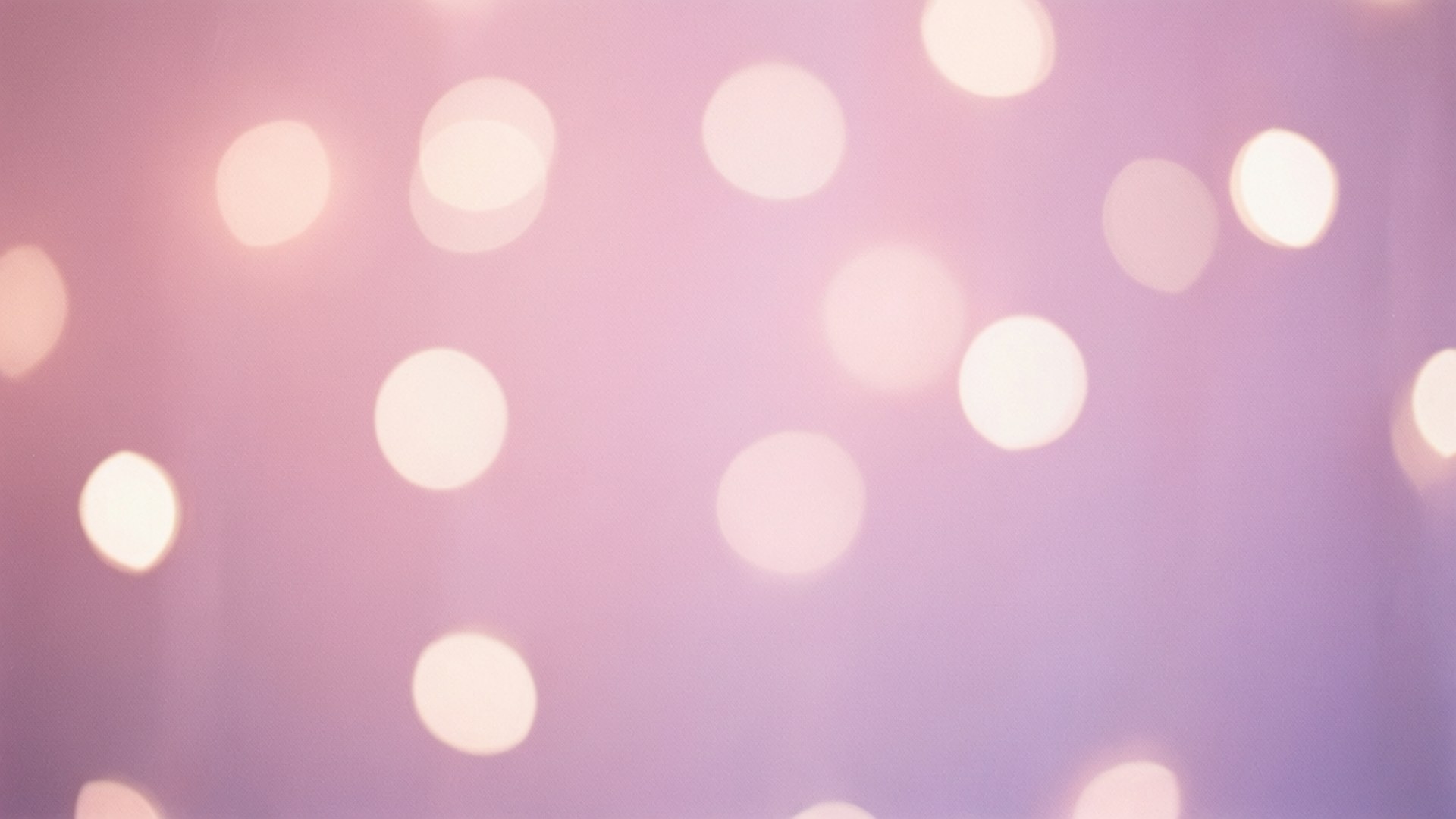 Vaaleanpunainen laventeli bokeh Taustakuvat