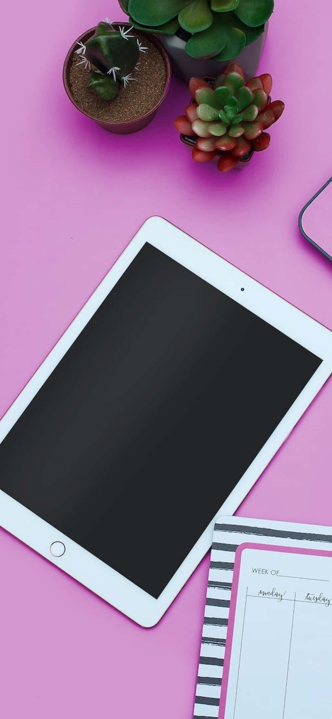 Vaaleanpunainen työpöytä iPadin kanssa iPhone X -taustakuvaksi Taustakuvat
