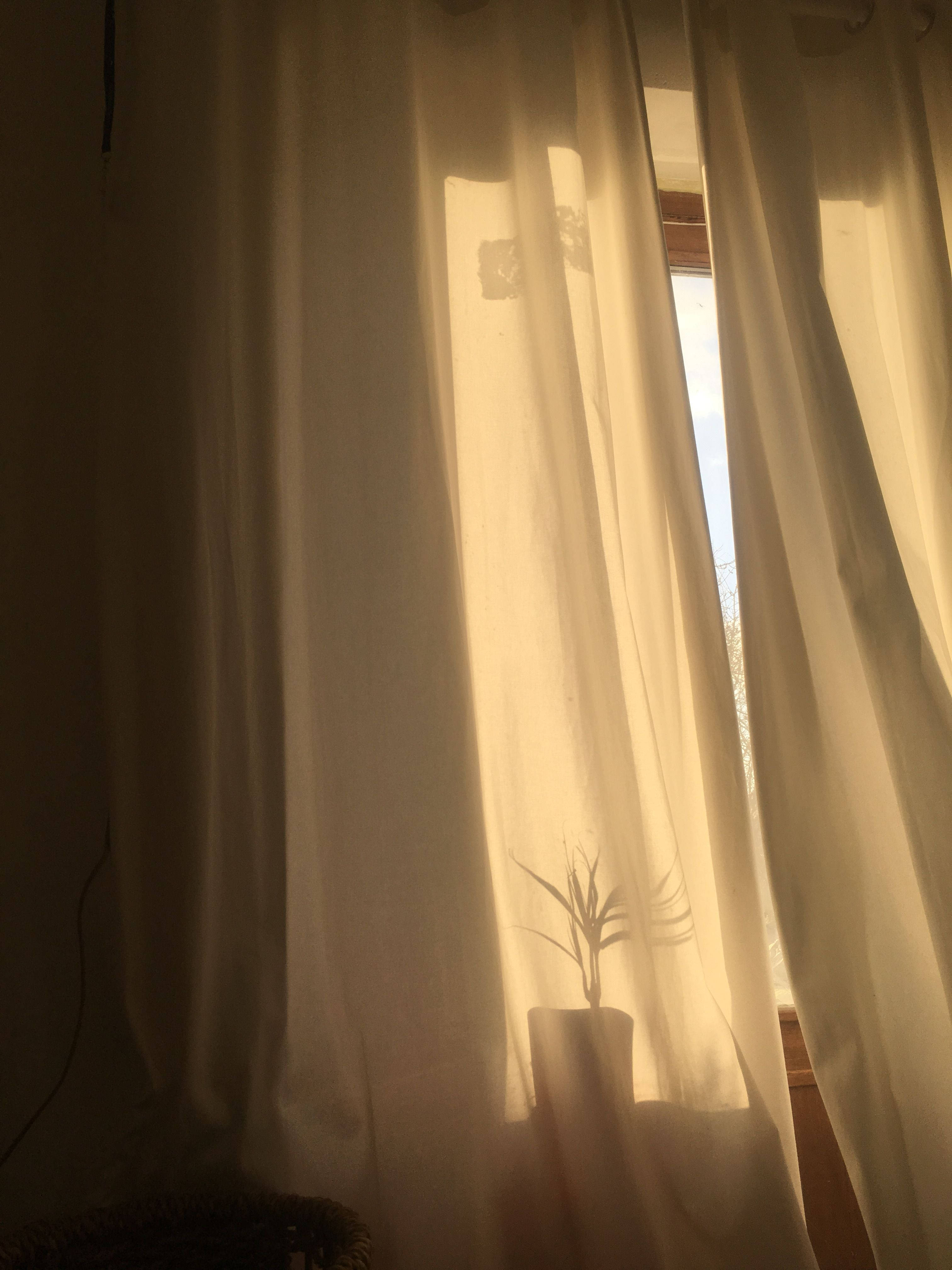 Vaaleanruskea esteettinen verho auringonvalossa Taustakuvat