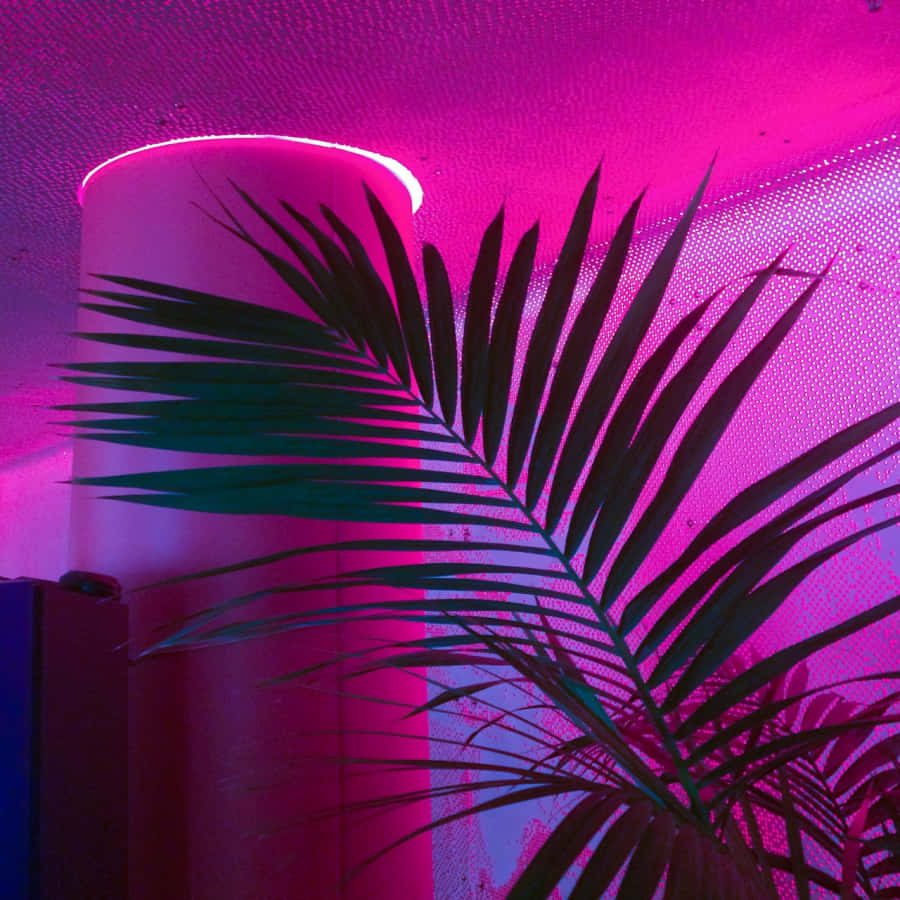 Valaise elämäsi tällä hehkuvalla neonpinkillä estetiikalla Taustakuvat