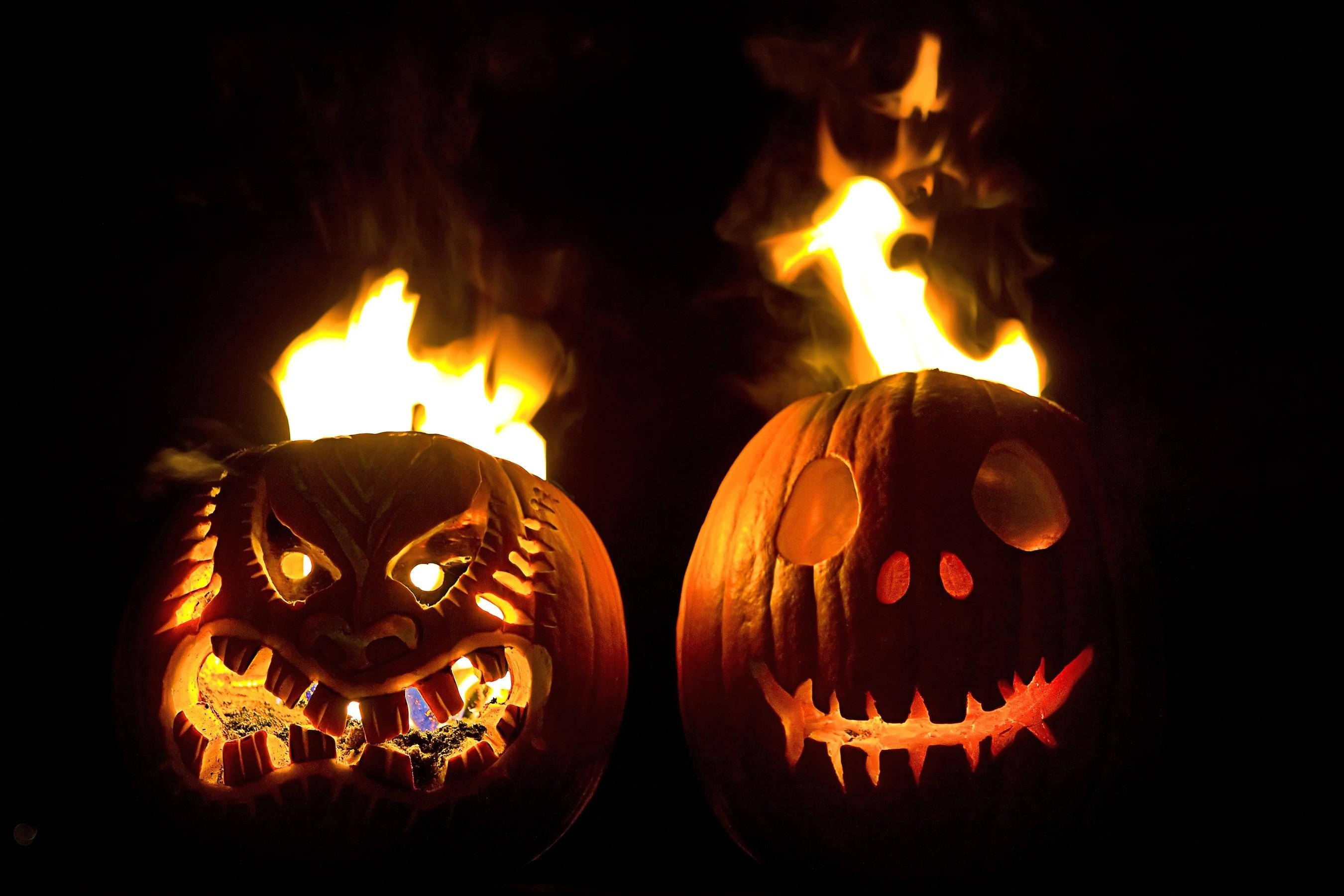 Valaise yö hehkuvilla Halloween-kurpitsoilla! Taustakuvat