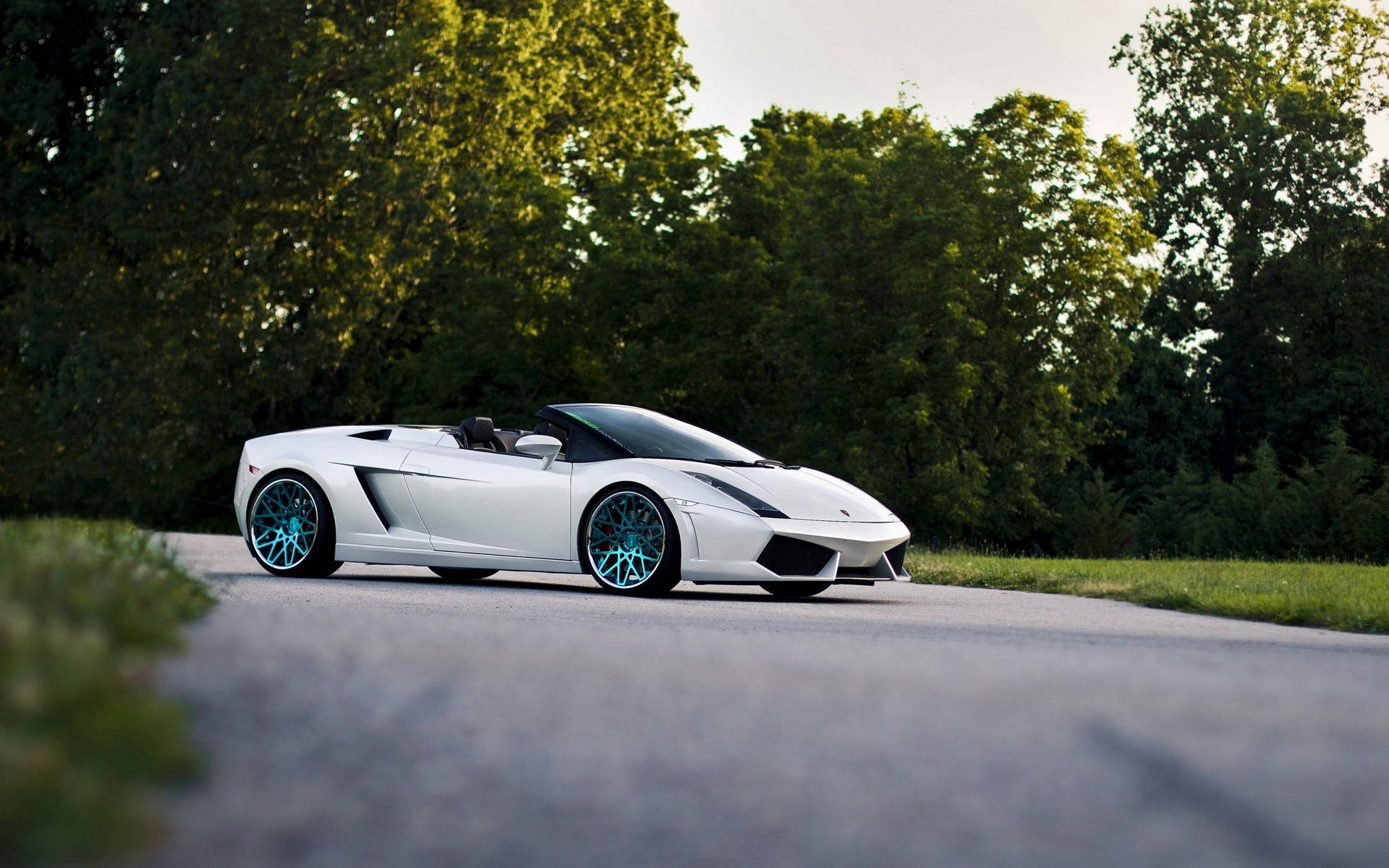 Valkoinen Lamborghini Gallardo Spyder katto alhaalla -taustakuva.