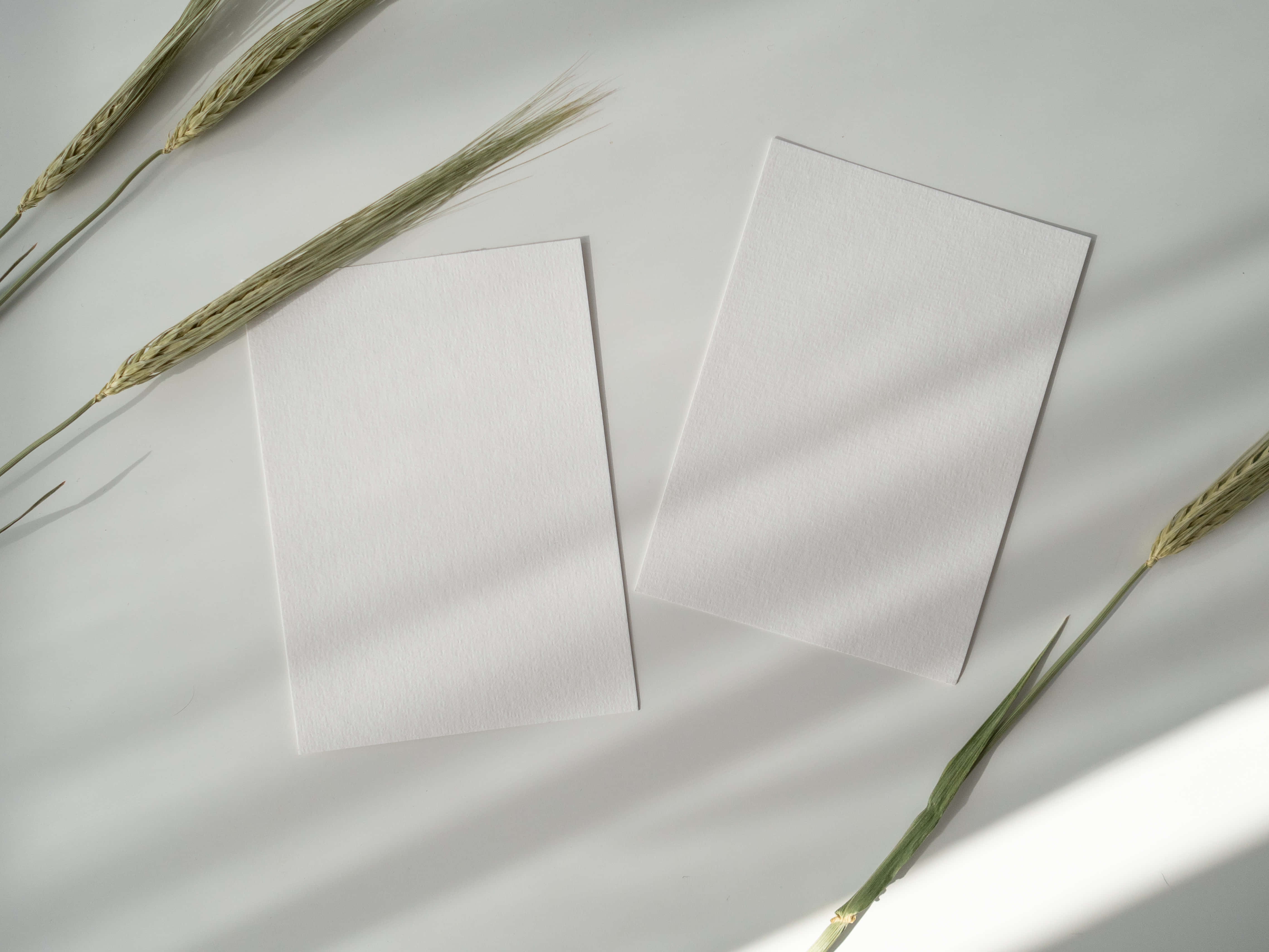 Valkoiset paperit varjojen alla Taustakuvat