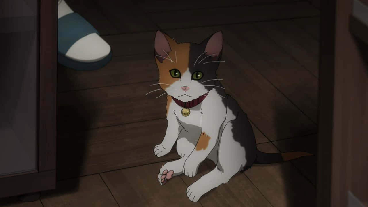 Valmistaudu hymyilemään tämän suloisen animekissan kanssa Taustakuvat