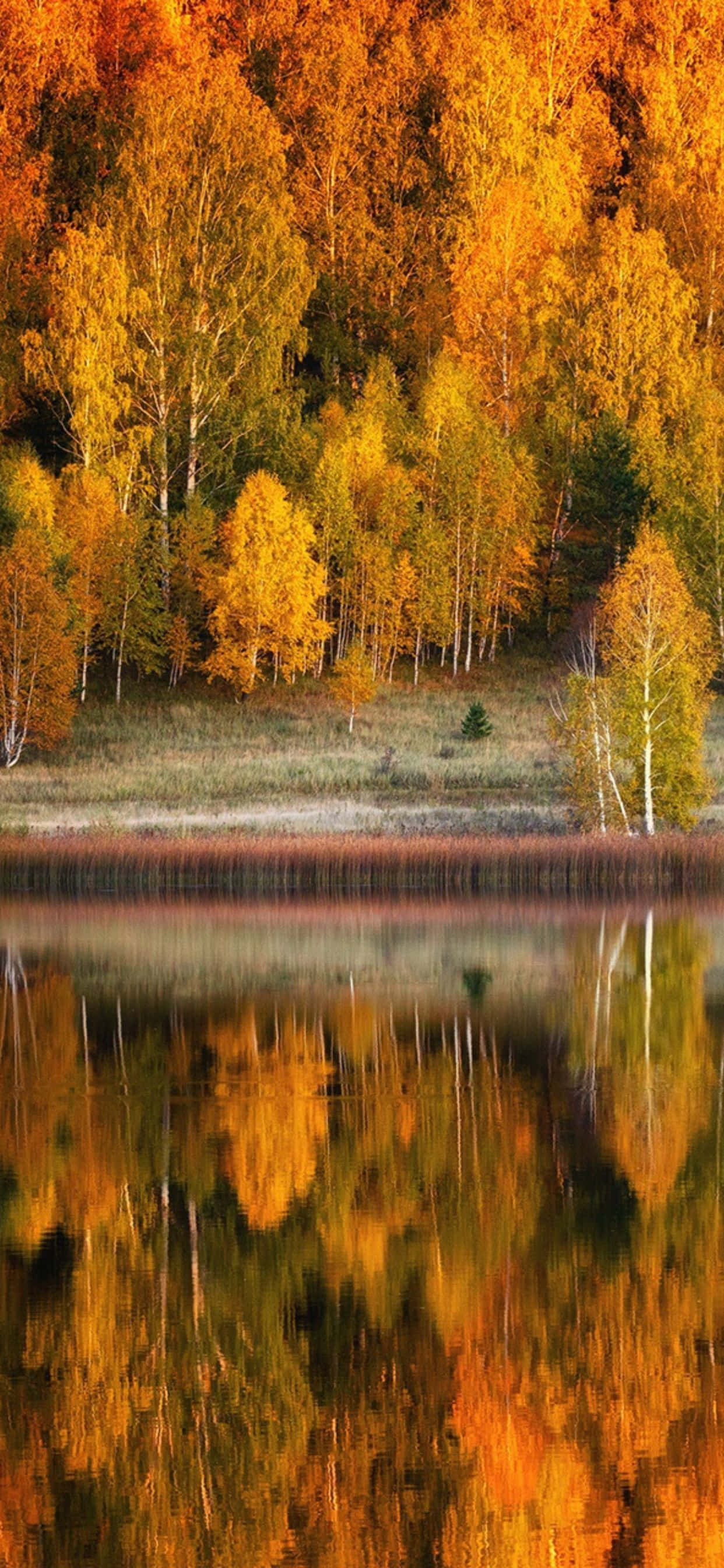 Valmistaudu syksyyn Apple iPhone XS Max -laitteella Taustakuvat