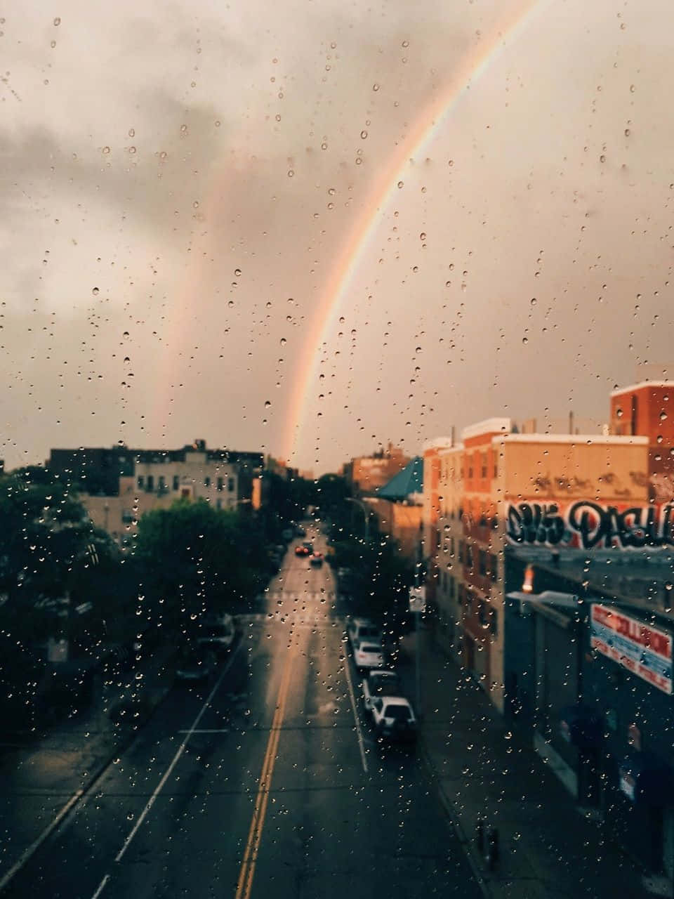 Vangitseva värikirjo Taustakuvat