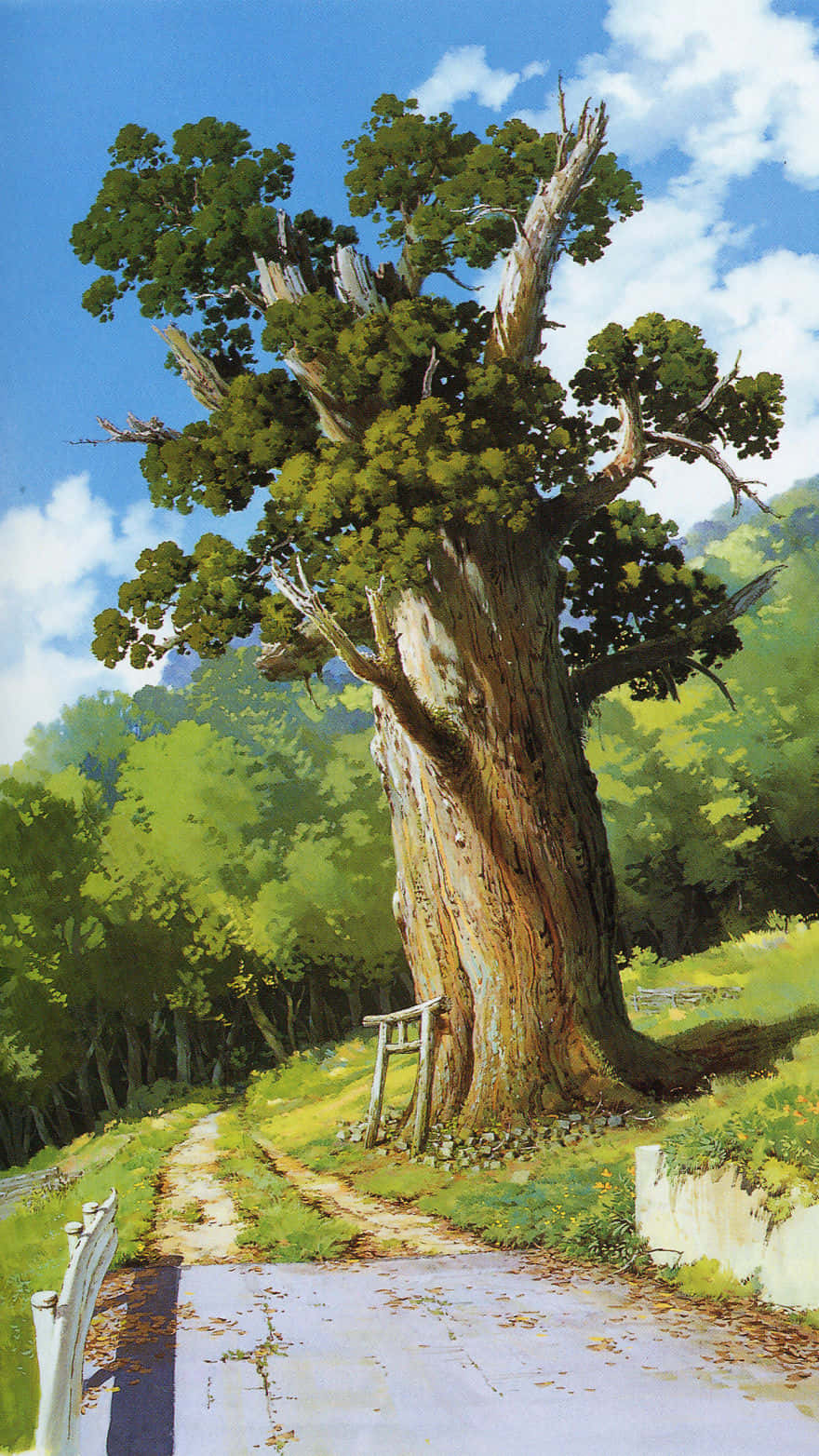 Vanha puu Studio Ghibli Puhelin Taustakuvat