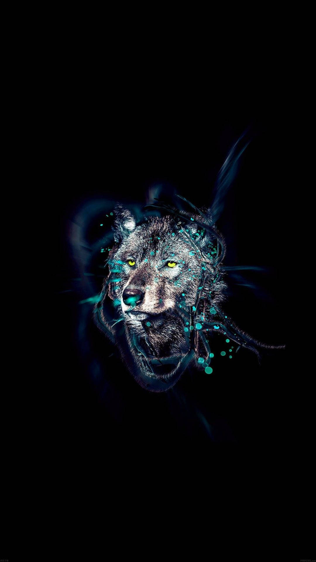 Vapauta sisäinen susisi AMOLED-valon voimalla Taustakuvat