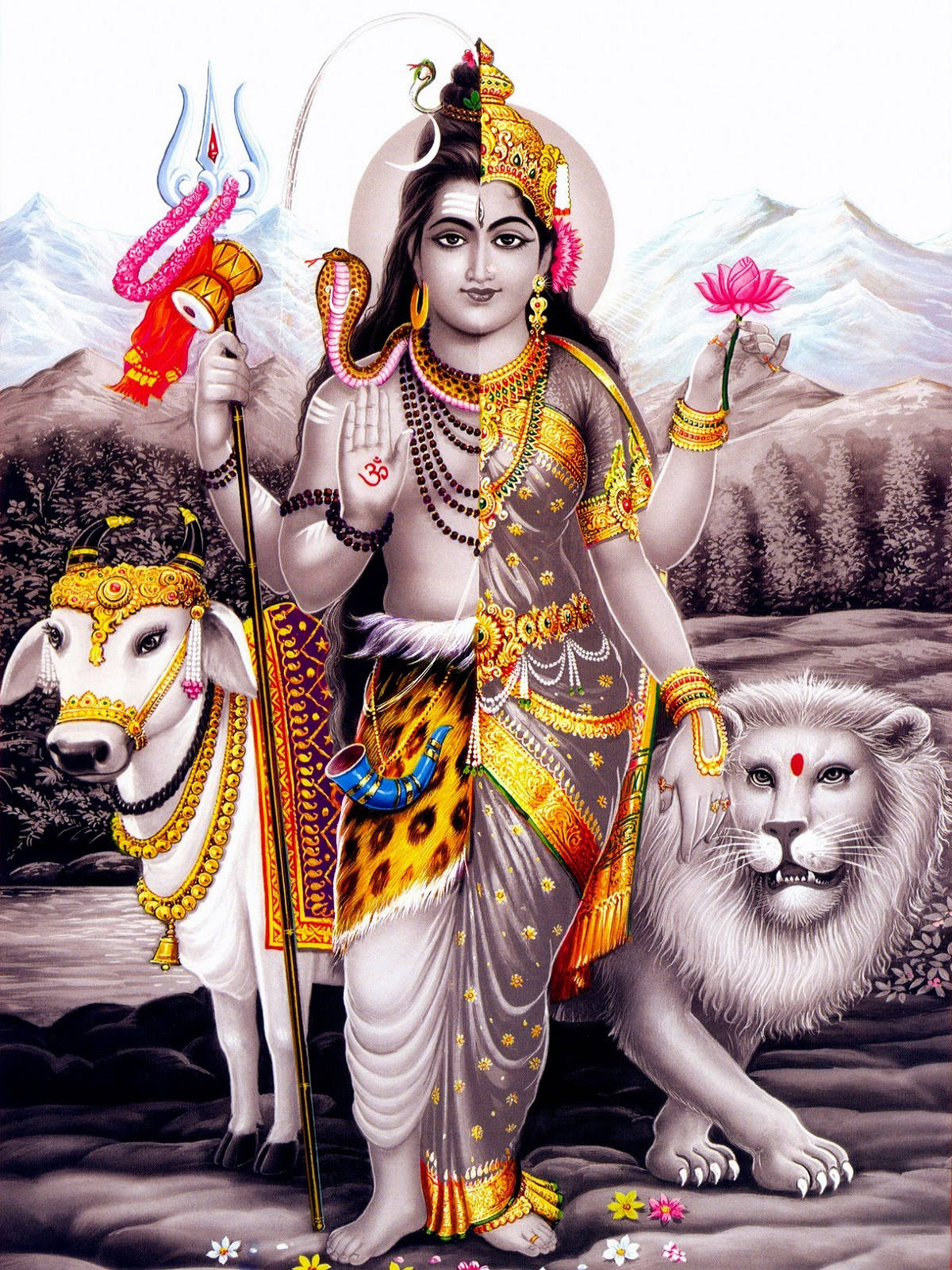 Värikäs pop-taide Shiva Parvati Ardhnarishwarina Taustakuvat
