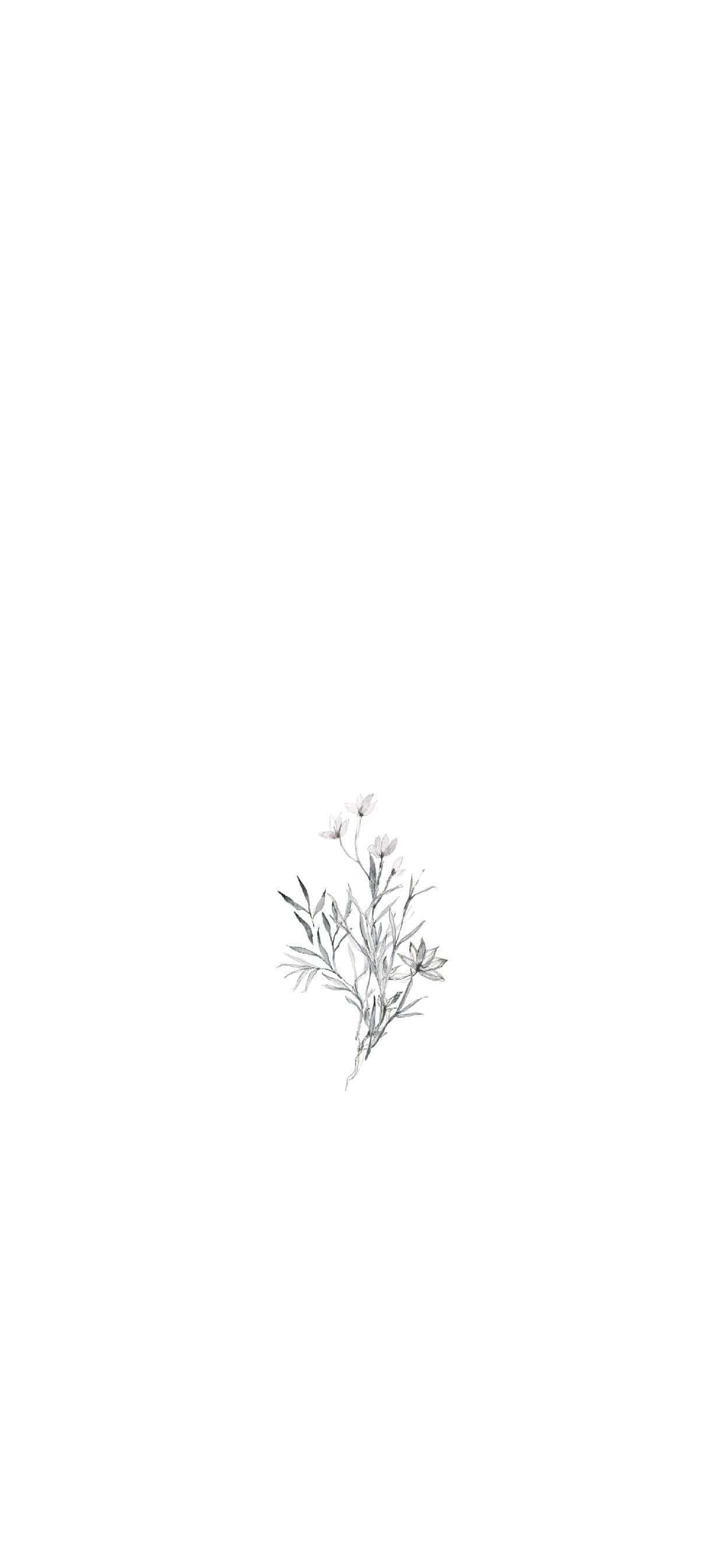 Värikäs taidepiirros ainutlaatuisilla visuaalisilla tehosteilla Taustakuvat