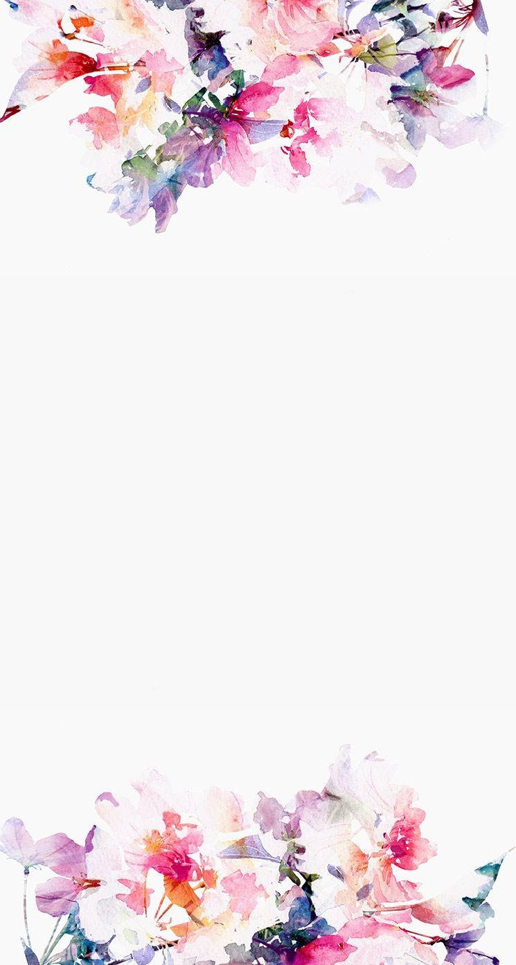 Vesivärikukka iPhone Taustakuvat
