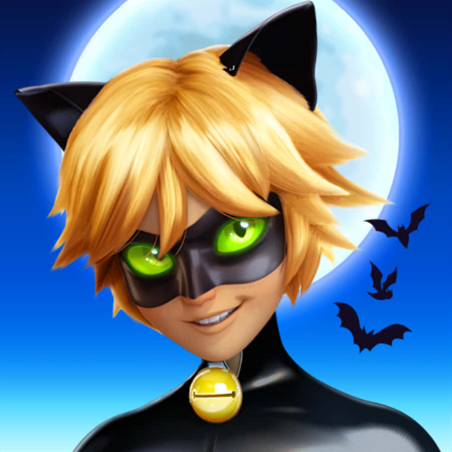 Viehättävä Cat Noir Taustakuvat