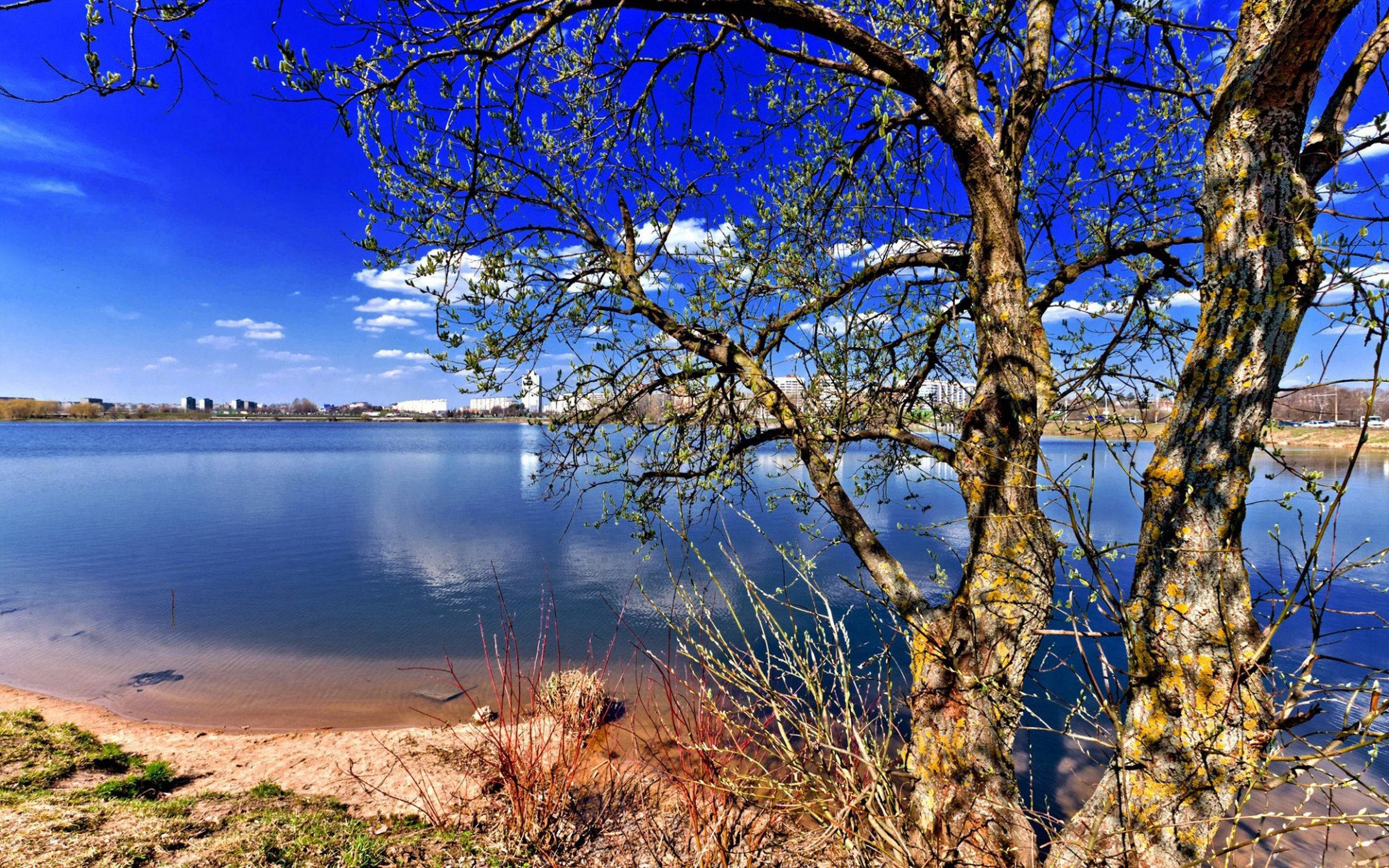 Viehättävä järviluonto Taustakuvat