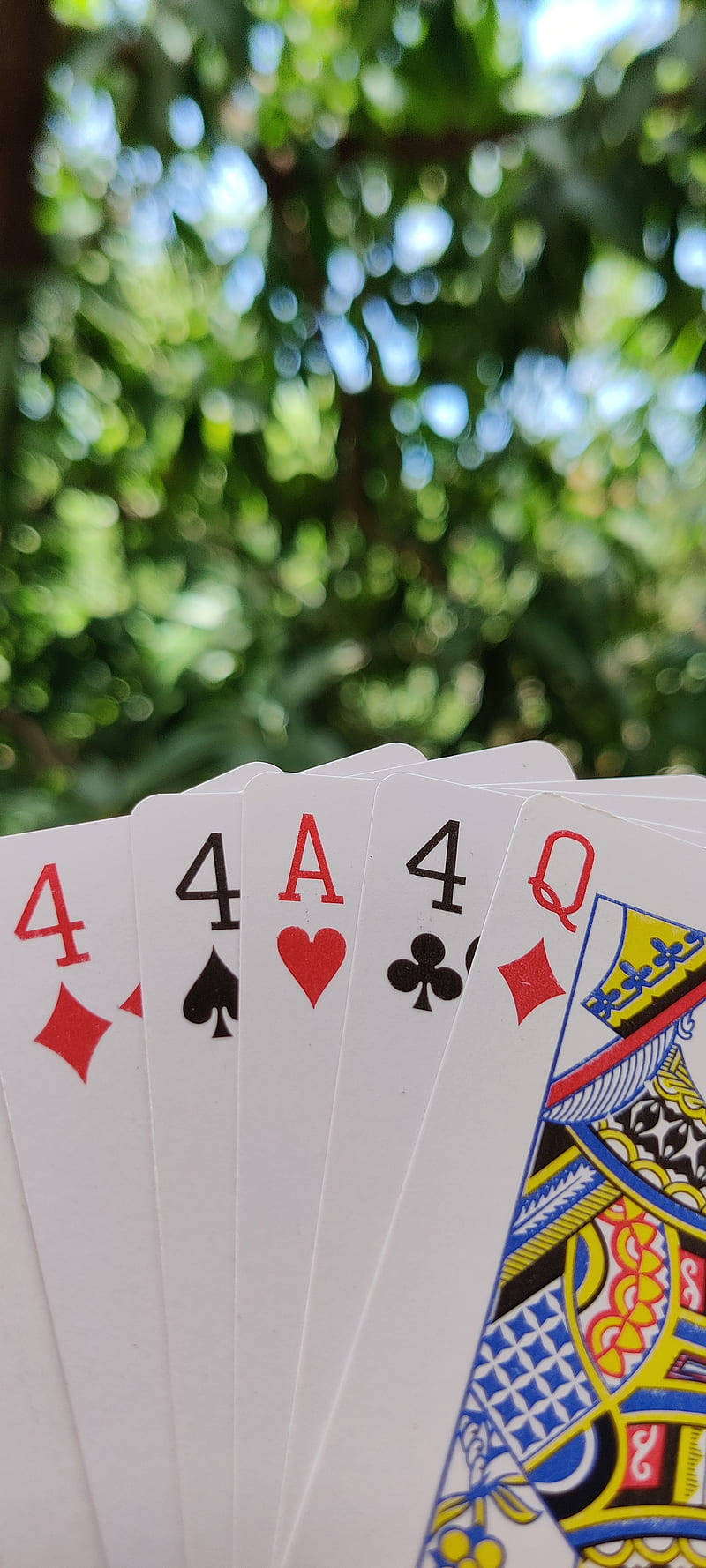 Viiden Rummy-pelikortin setti Taustakuvat