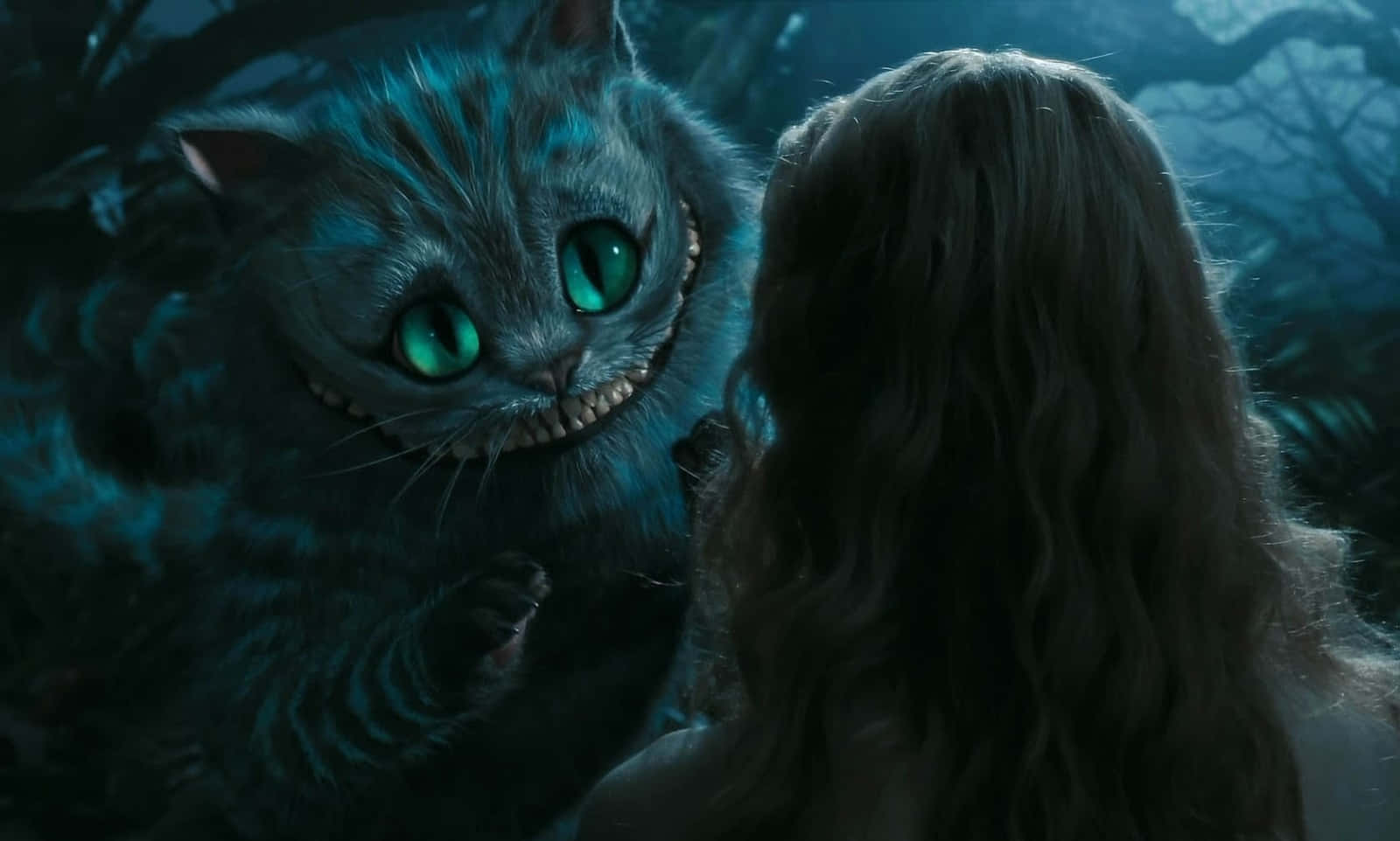 Viisas Cheshire-kissa Taustakuvat