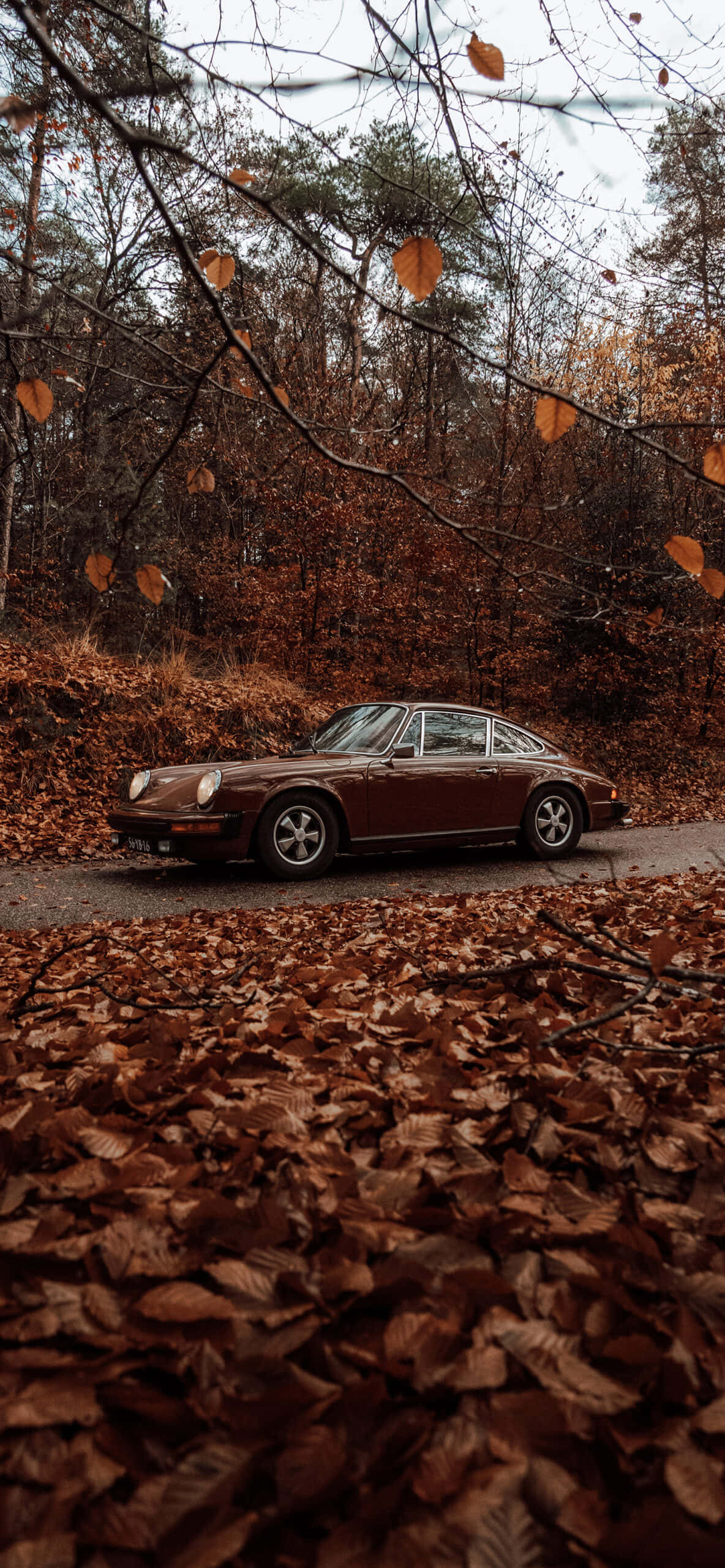 Vintage Esteettinen Syksy Puut Auto Taustakuvat