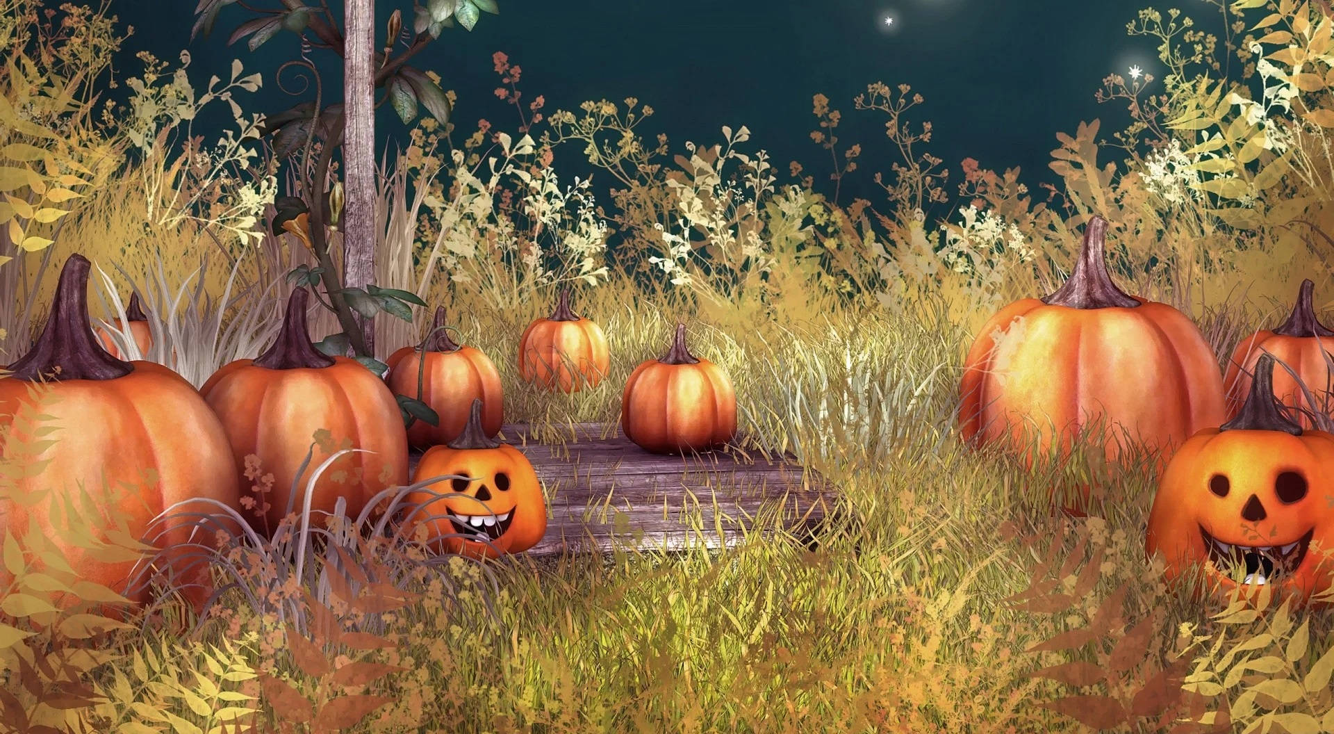 Vintage Halloween Kurpitsat Niityllä Taustakuvat