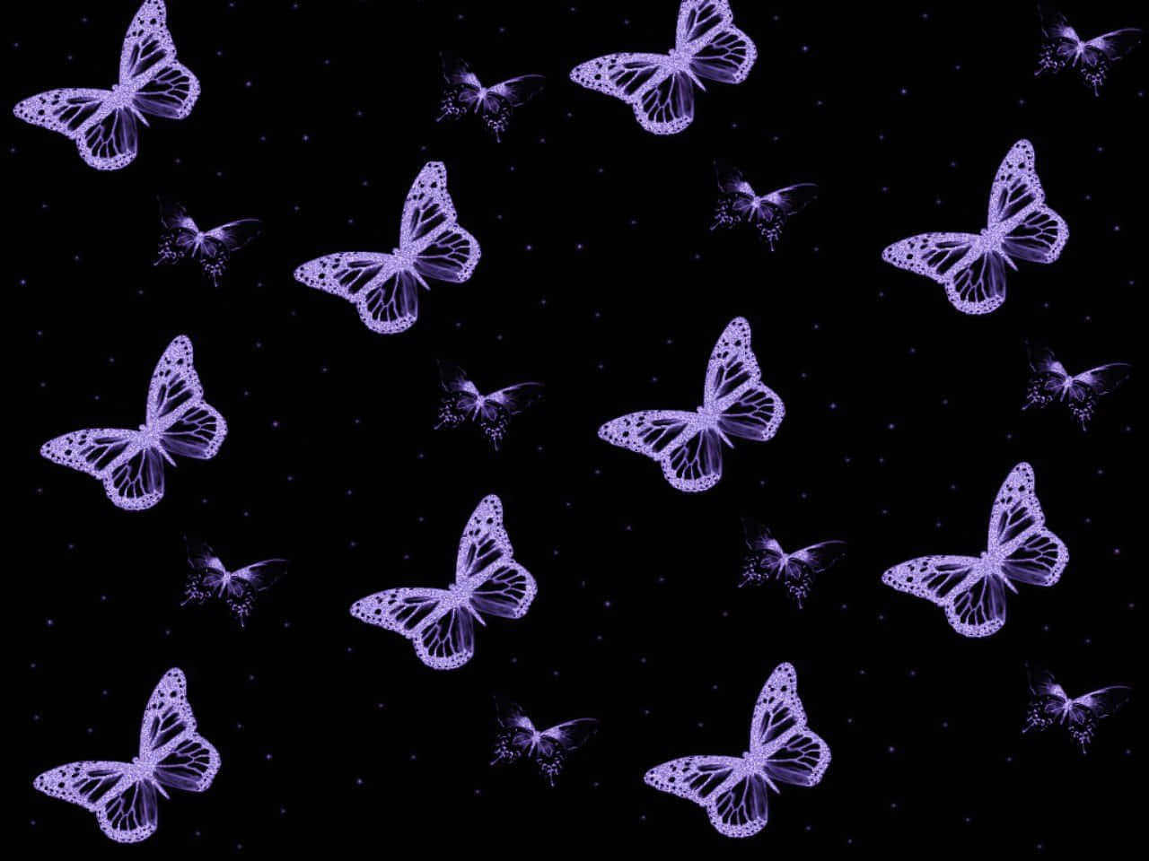 Violetteja perhosia mustalla taustalla Taustakuvat