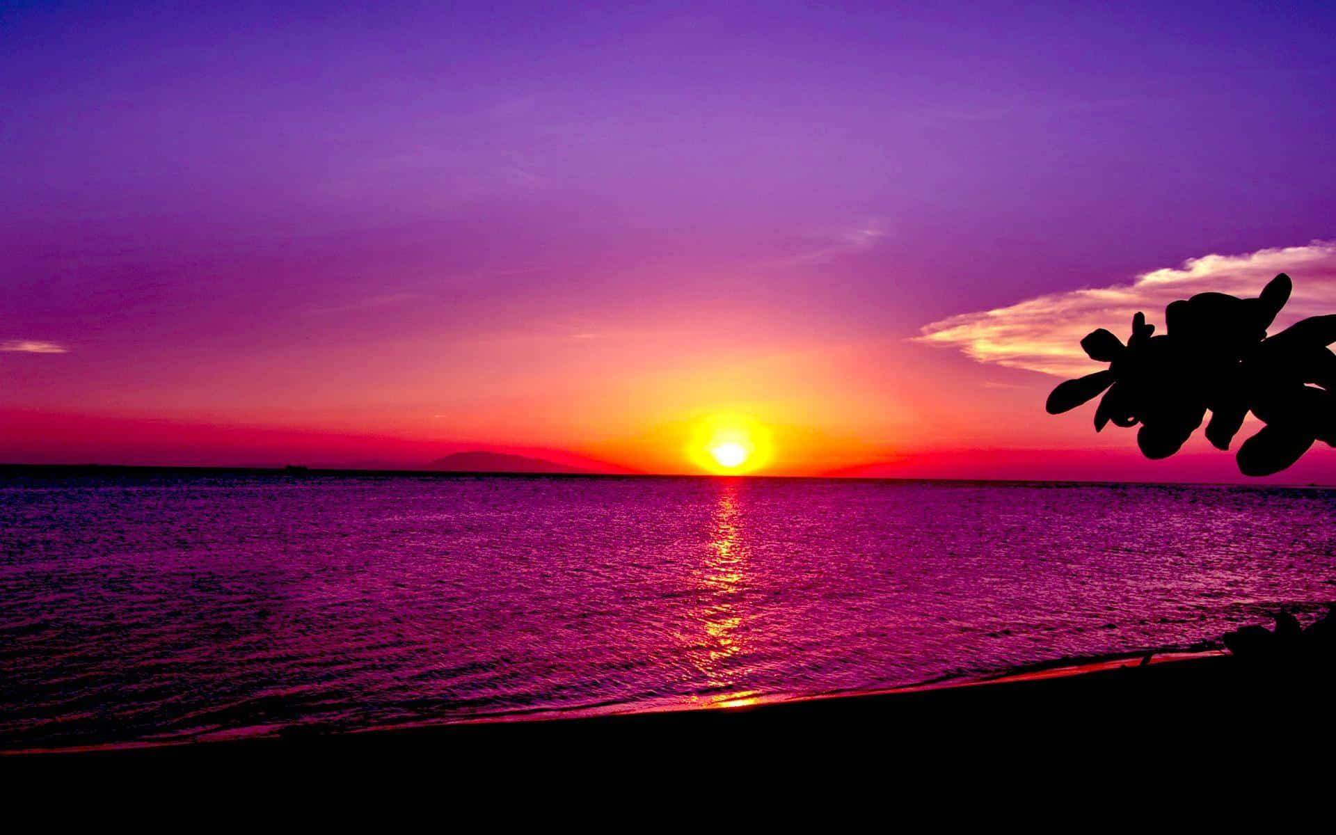 violetti auringonlasku taustakuva Taustakuvat