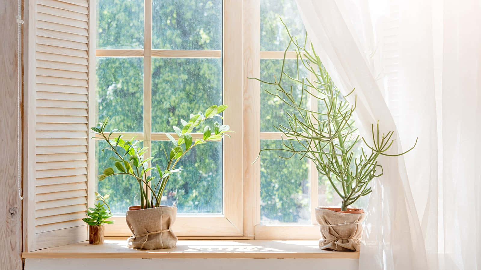Virtuaalikokoukset helpoksi Simple Zoomilla Taustakuvat
