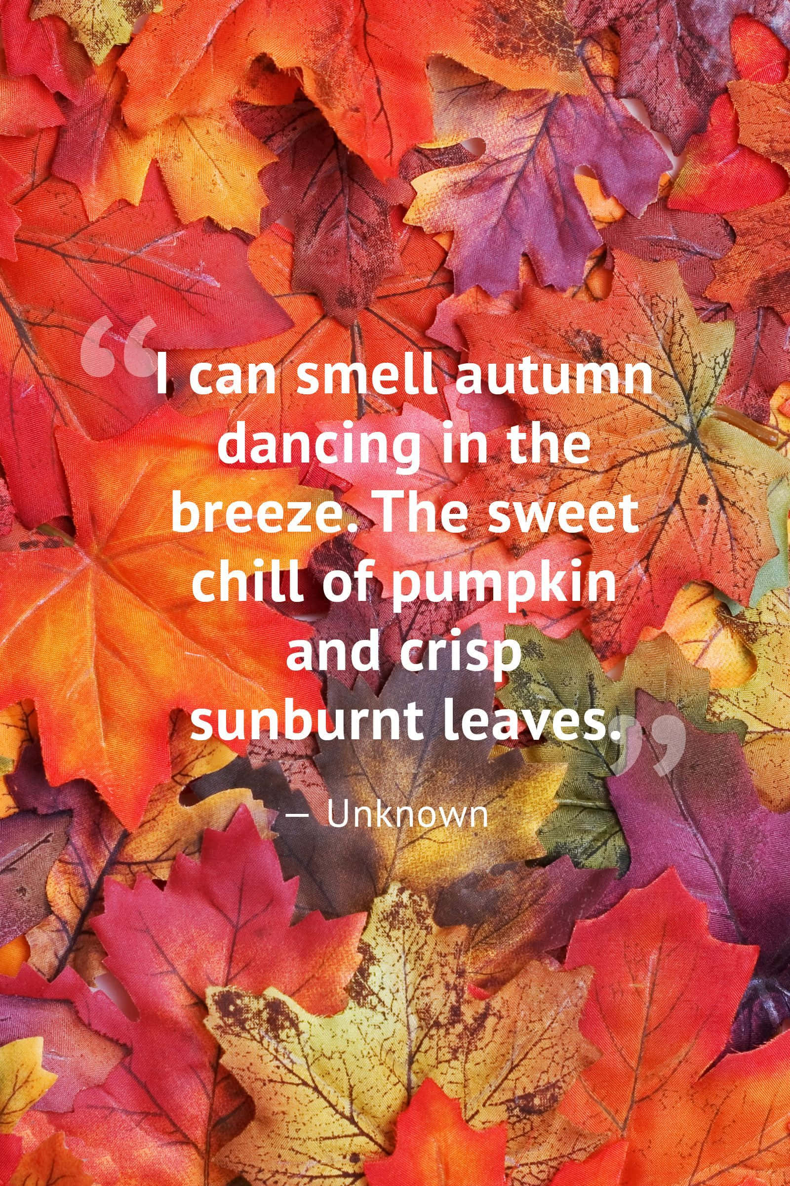 "Welcome the colours of Autumn" Taustakuvat