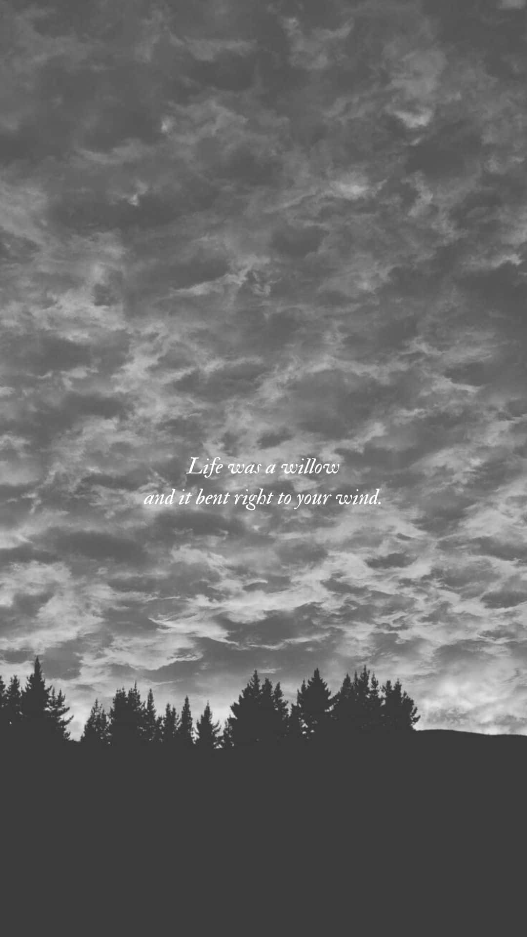 Willow Taylor Swift -sanoitukset Taustakuvat