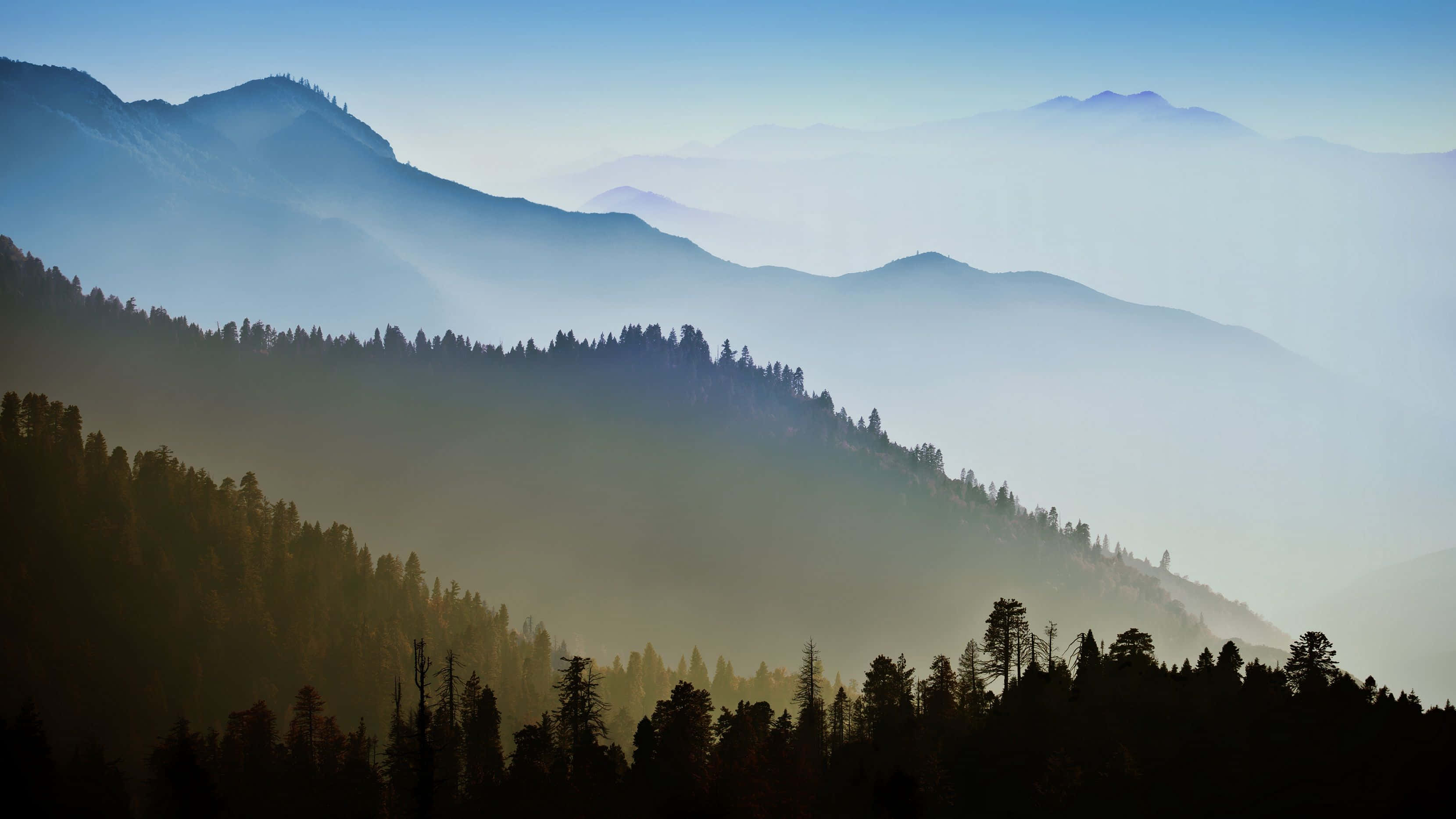 Woods Mountains Kalifornia MacBook Oletus Taustakuvat
