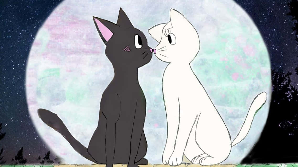 Yhteensopiva kissaprofiilikuva Sailor Moon Taustakuvat