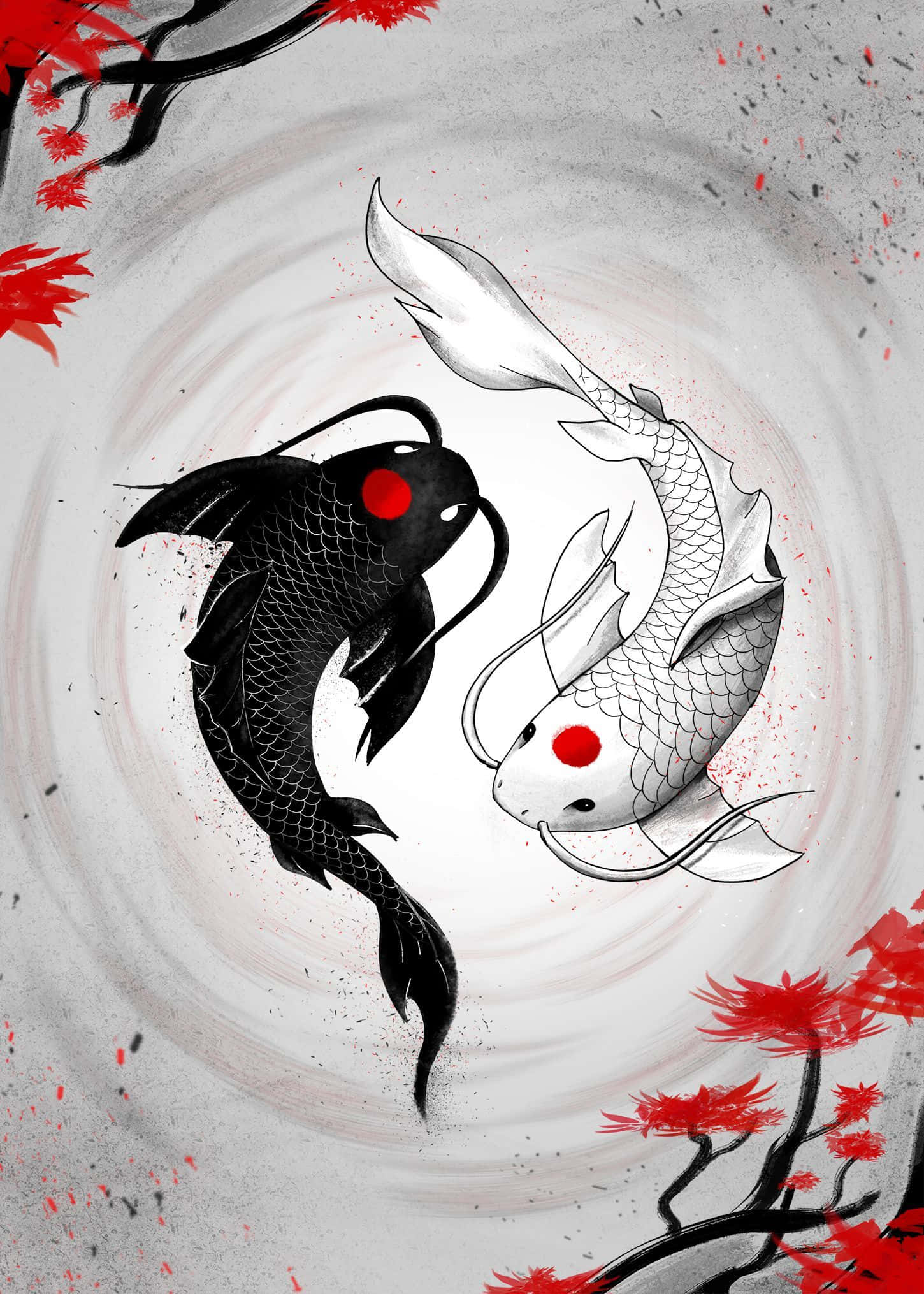 Yin Yang Kalojen Harmonia Taustakuvat