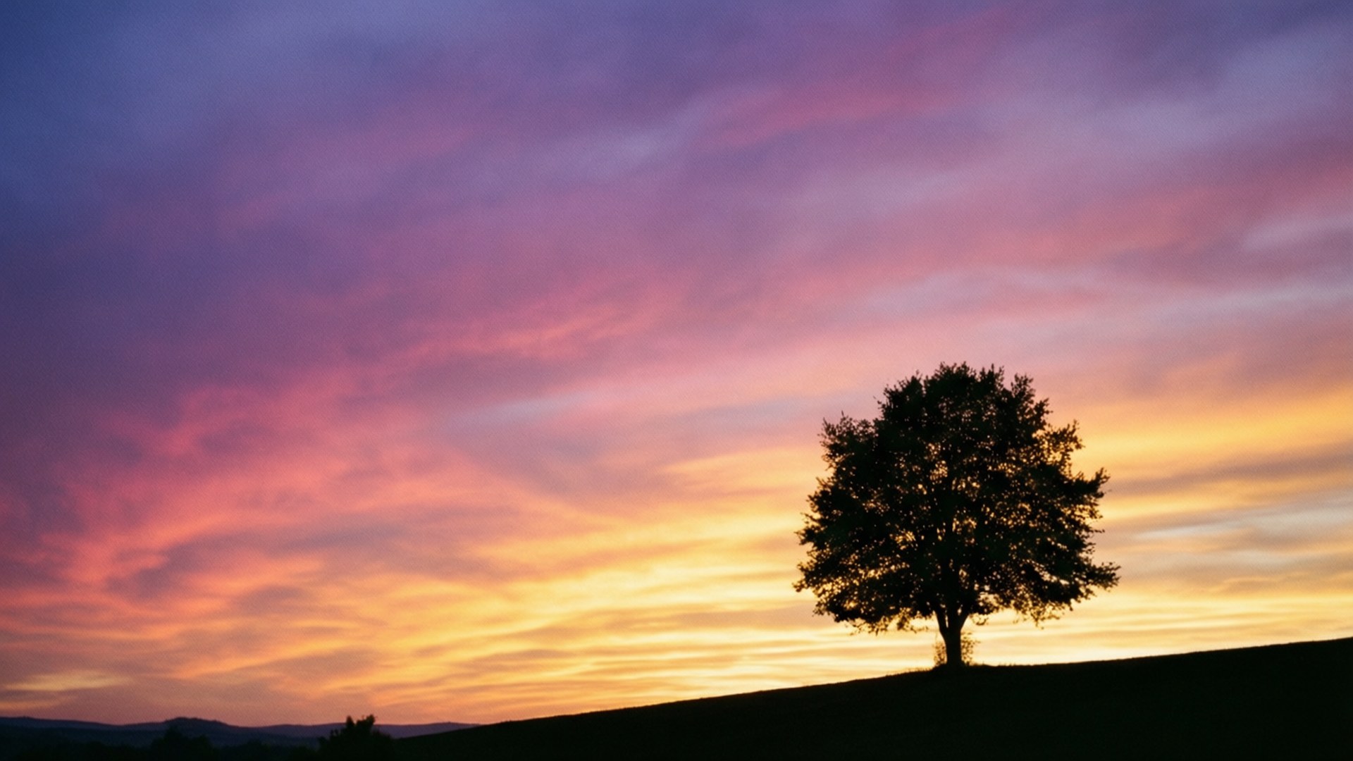 Yksinäinen puu auringonlaskussa Taustakuvat