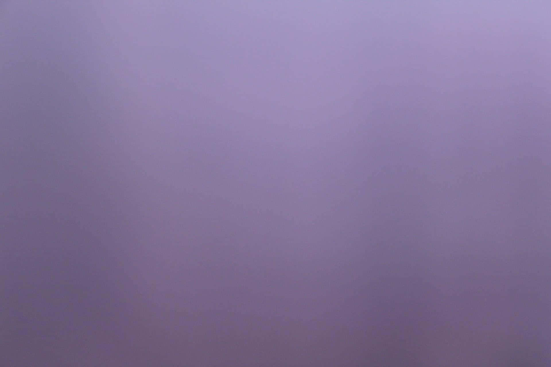 Yksivärinen violetti tausta Taustakuvat