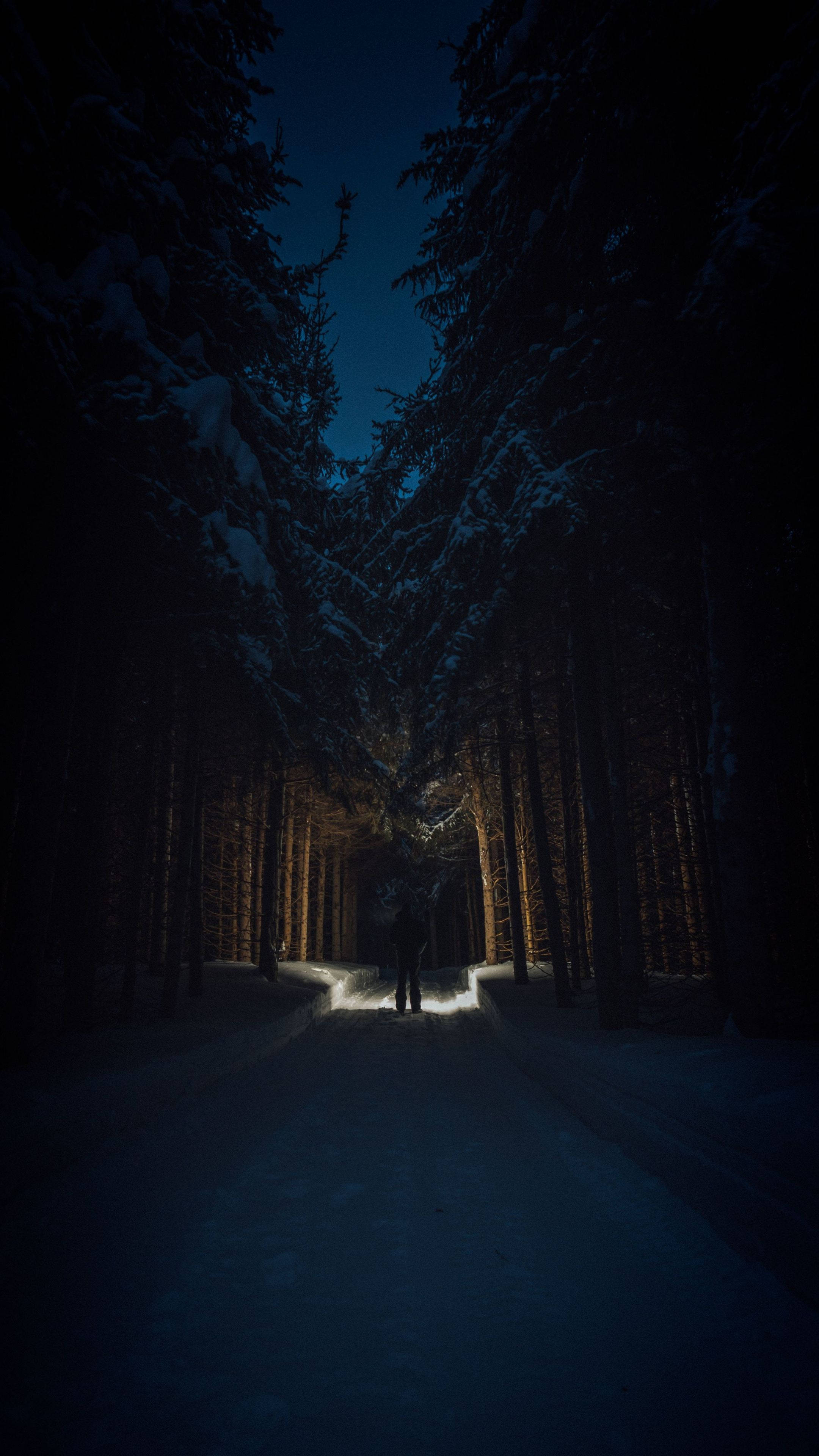 Yö metsässä 4K Ultra HD tumma puhelin Taustakuvat
