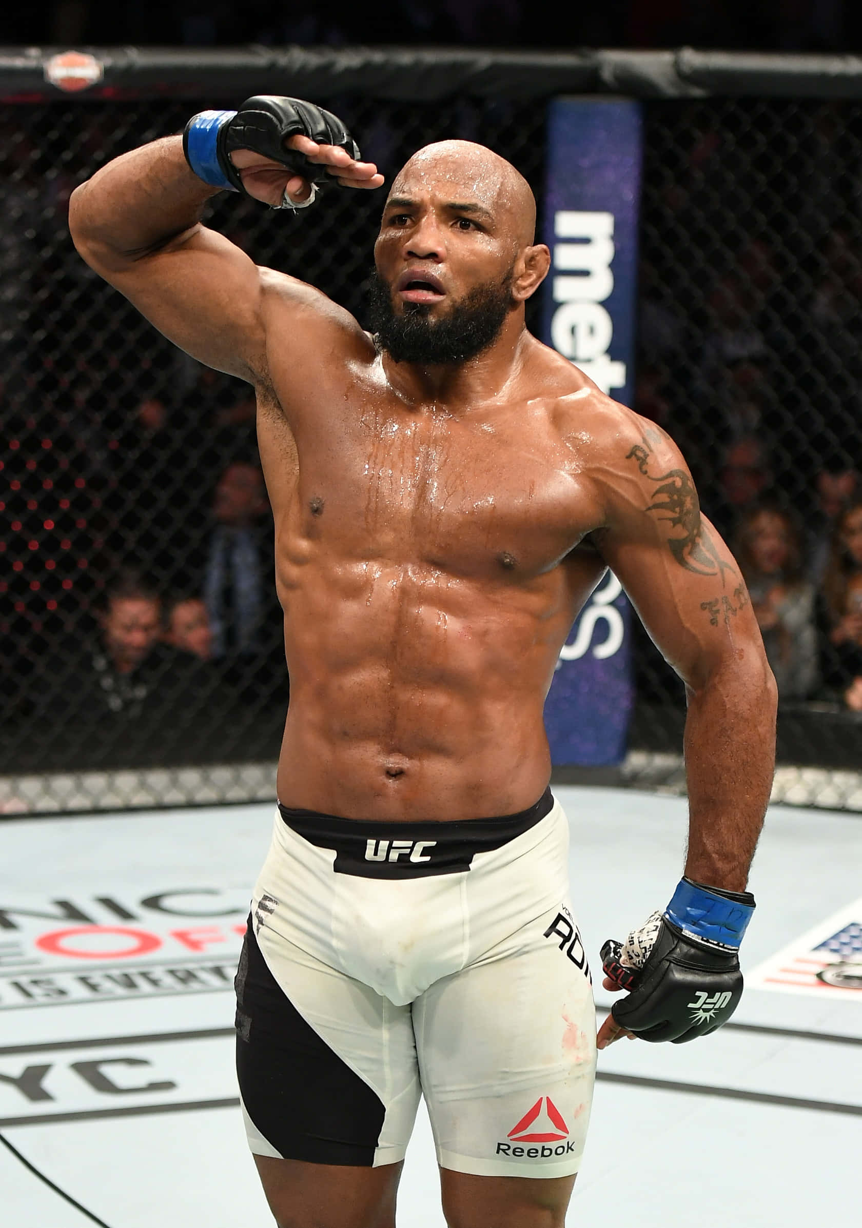 Yoel Romeron tervehdys UFC 205:ssä Taustakuvat