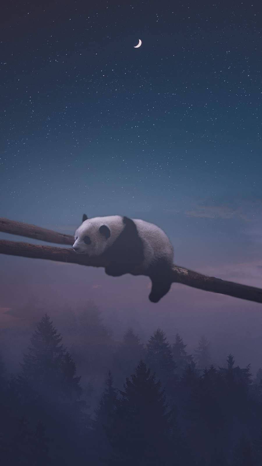 Yöuninen panda Taustakuvat