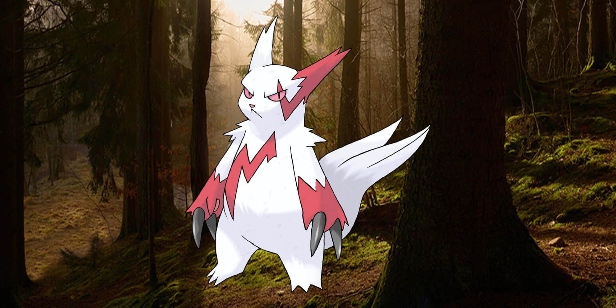 Zangoose pimeässä metsässä Taustakuvat