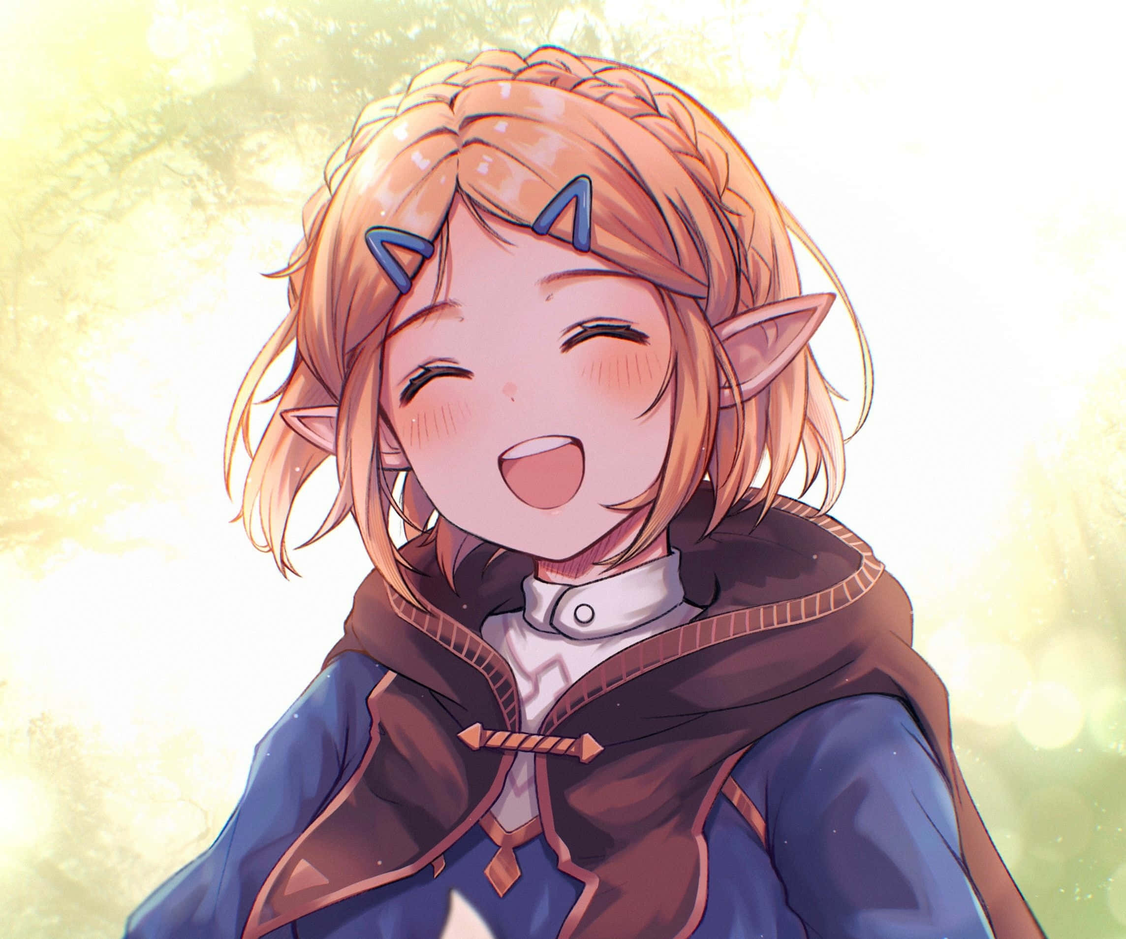 Zelda-taustakuva Taustakuvat