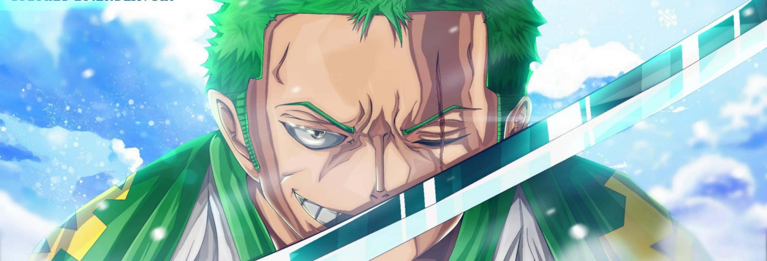 Zoro Wano Kiiltävä Miekka Taustakuvat