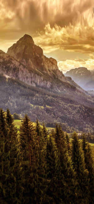 1080x2340 4k — Vivo V50e Taustakuvat