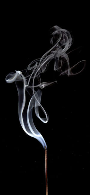 1170x2532 — iPhone 15 Taustakuvat