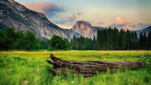 8k 7680x4320 Ultra Hd Resoluutio Työpöytä Yosemite — 7680x4320 Taustakuvat