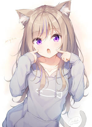 Anime tyttö huppari kissanainen taustakuva — Söpö anime-tyttö Taustakuvat